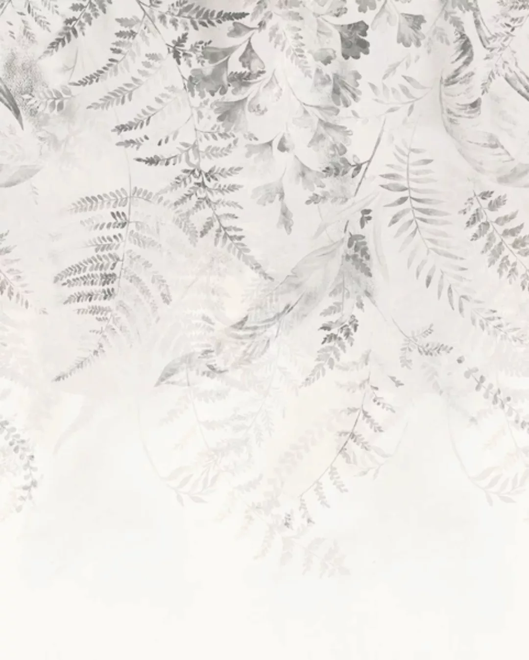 Komar Vliestapete »Illuminating Ivy«, 200x250 cm (Breite x Höhe), Vliestape günstig online kaufen