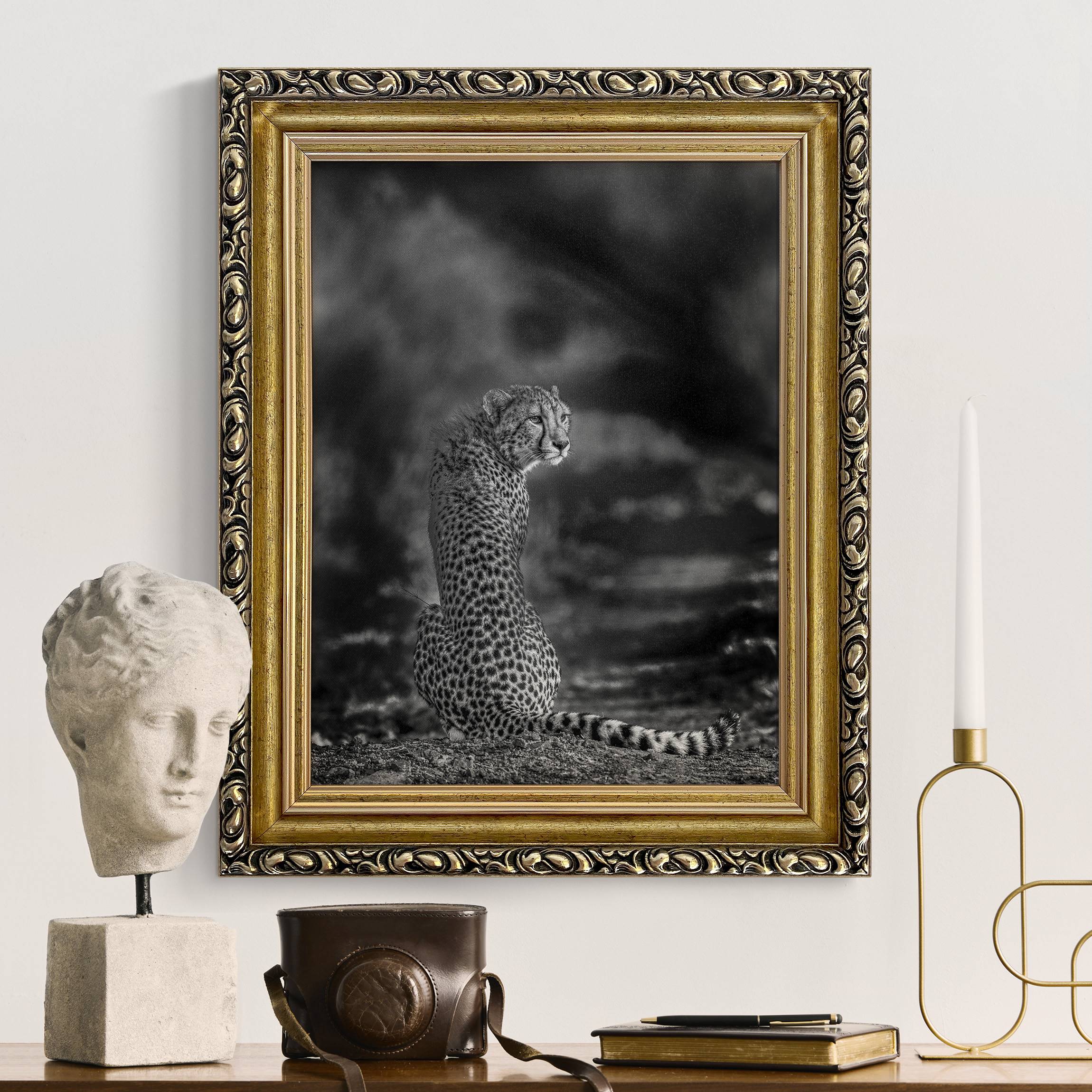 Gerahmtes Leinwandbild Gepard in der Wildness günstig online kaufen