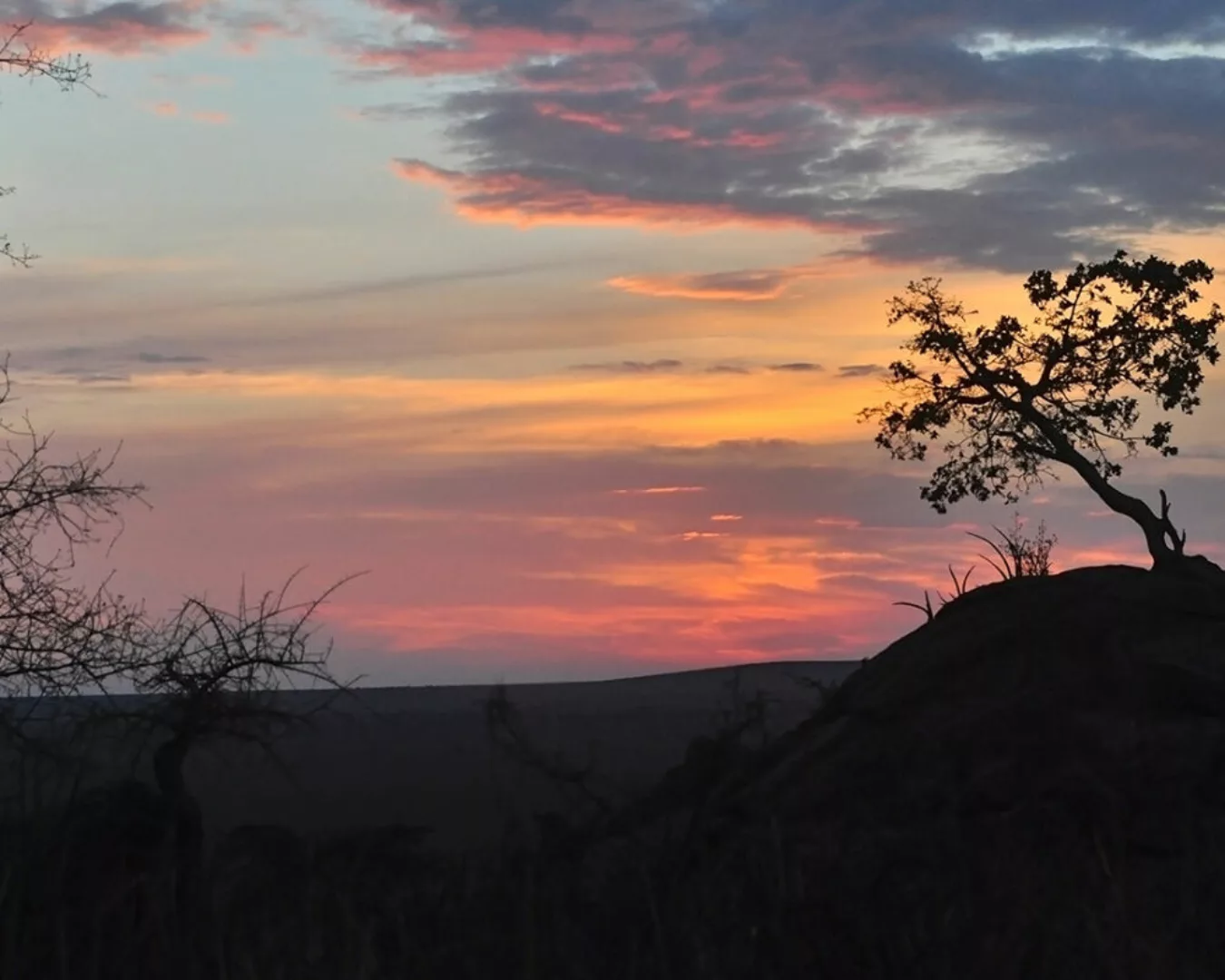 Fototapete "SunsetTansania" 4,00x2,50 m / Glattvlies Perlmutt günstig online kaufen