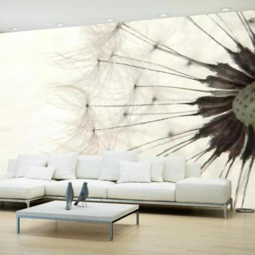 artgeist Fototapete White Dandelion grau/beige Gr. 150 x 105 günstig online kaufen