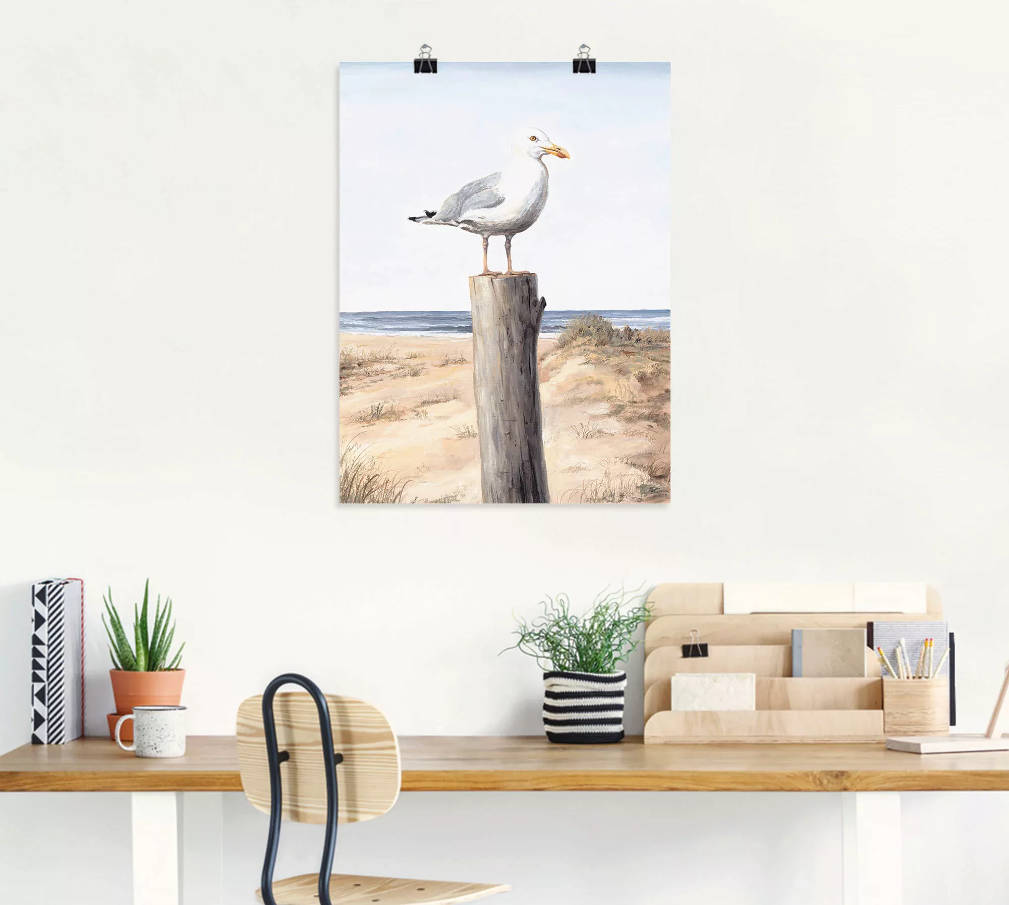 Artland Wandbild "Möwe", Vögel, (1 St.), als Alubild, Outdoorbild, Leinwand günstig online kaufen