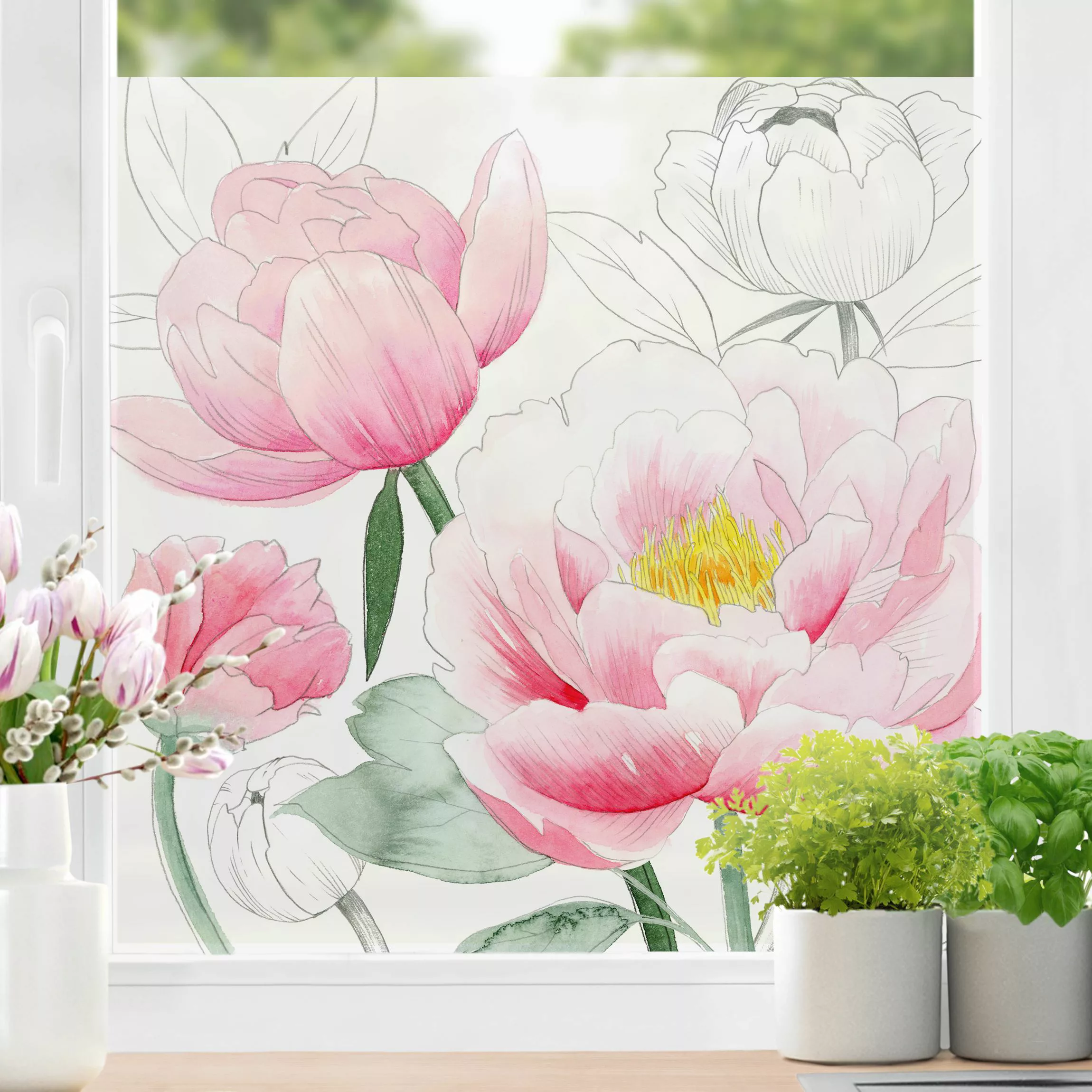 Fensterfolie Zeichnung Rosa Päonien I günstig online kaufen