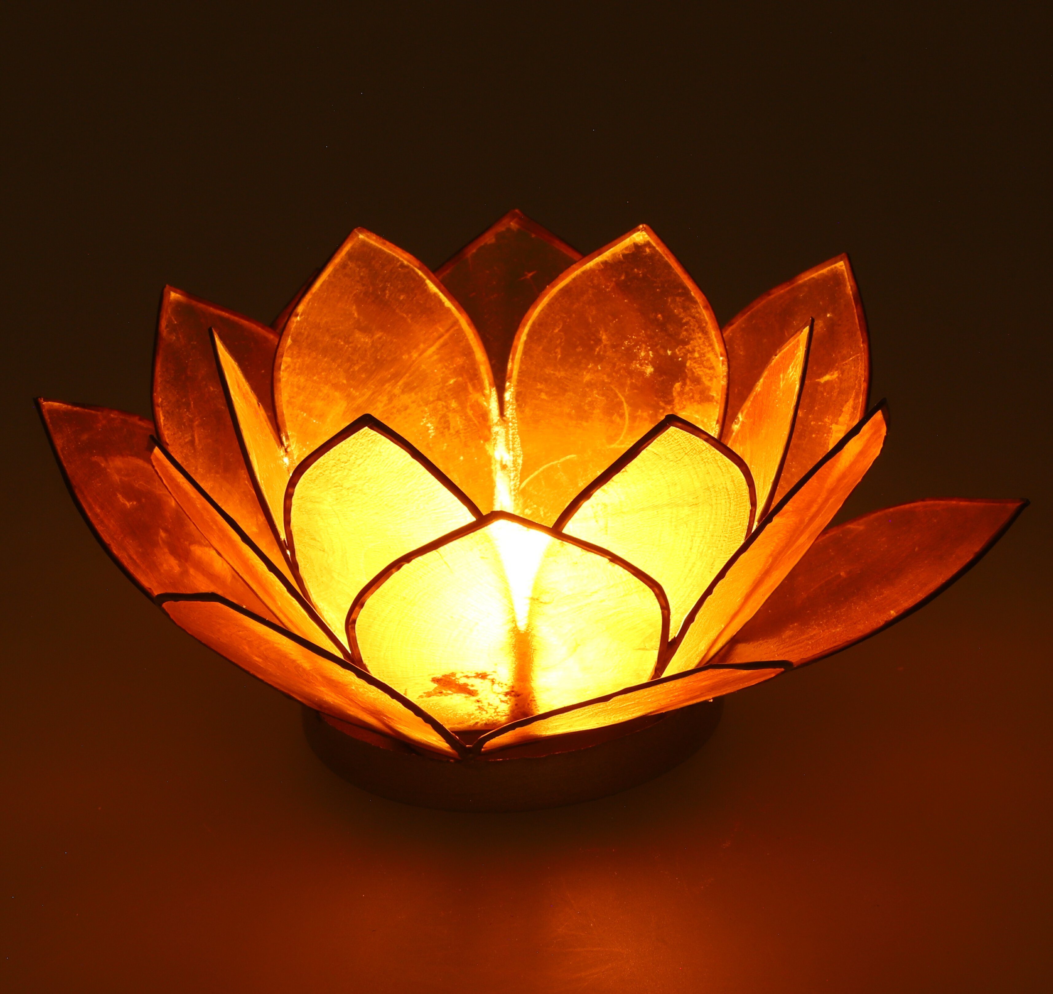 Guru-Shop Windlicht Lotus Teelicht Muschel 14*6 günstig online kaufen
