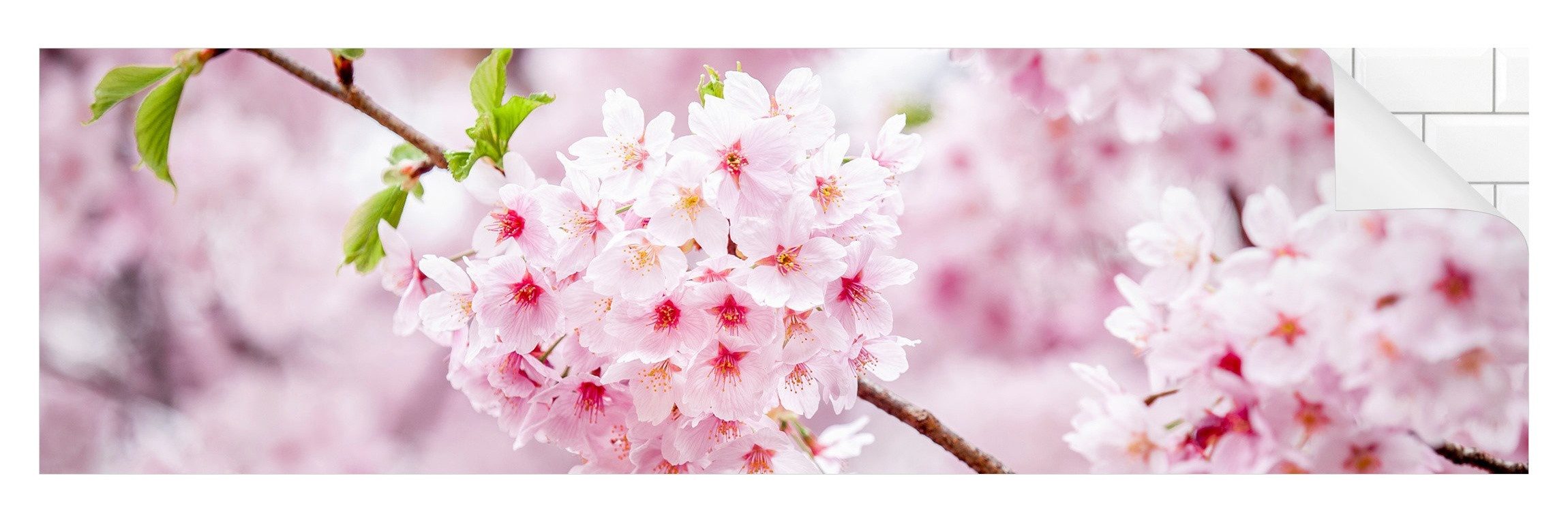 Bilderdepot24 Küchenrückwand rosa dekor Blumen Japanische günstig online kaufen
