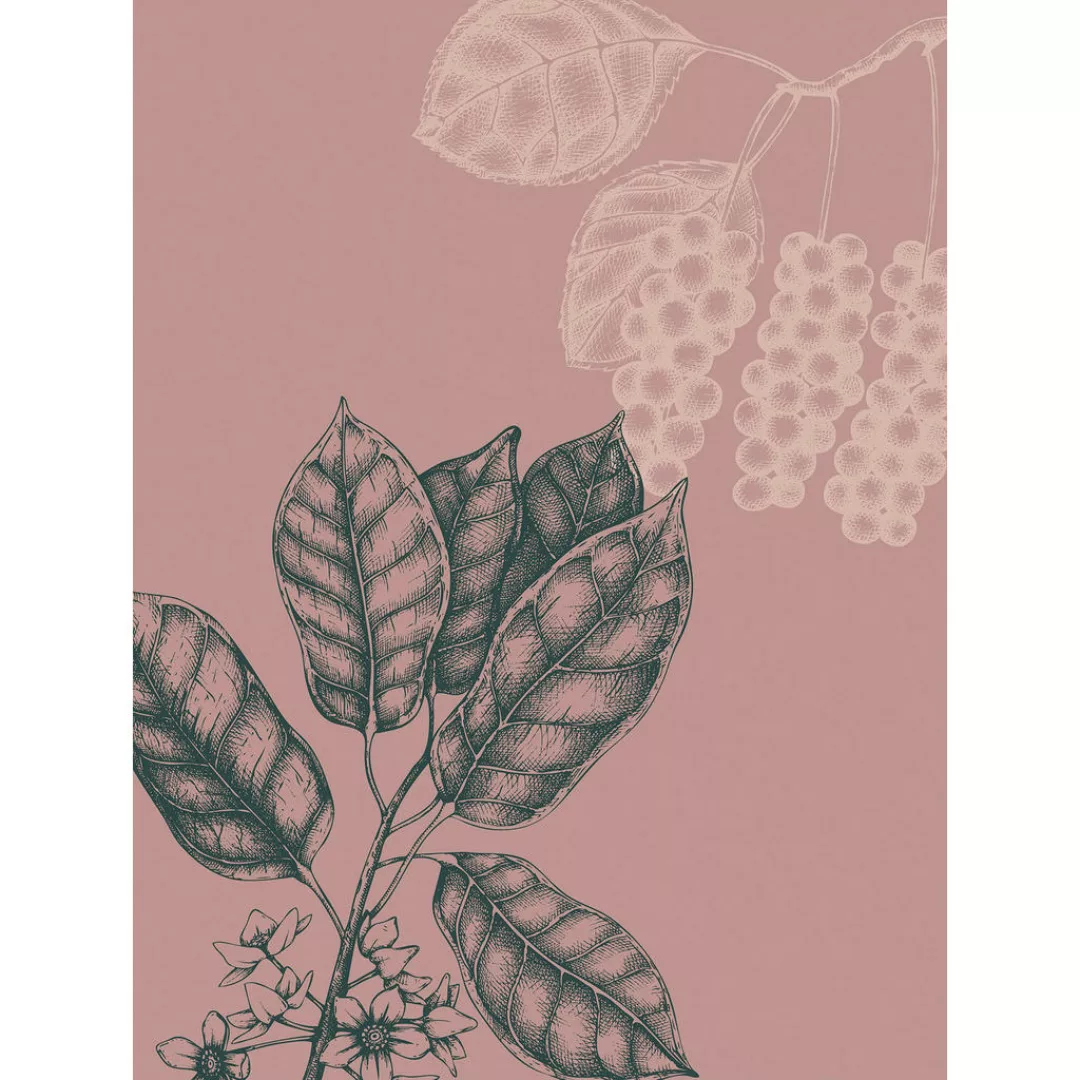 Komar Poster Wild Berry Pflanzen B/L: ca. 30x40 cm günstig online kaufen