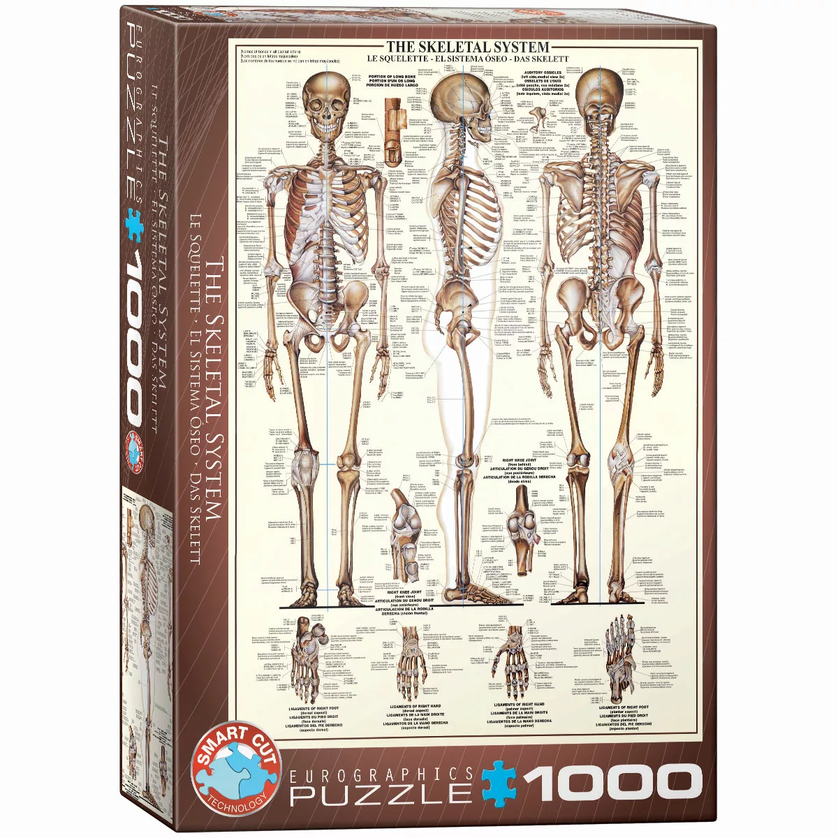 Das Skelett 1000 Teile Puzzle günstig online kaufen