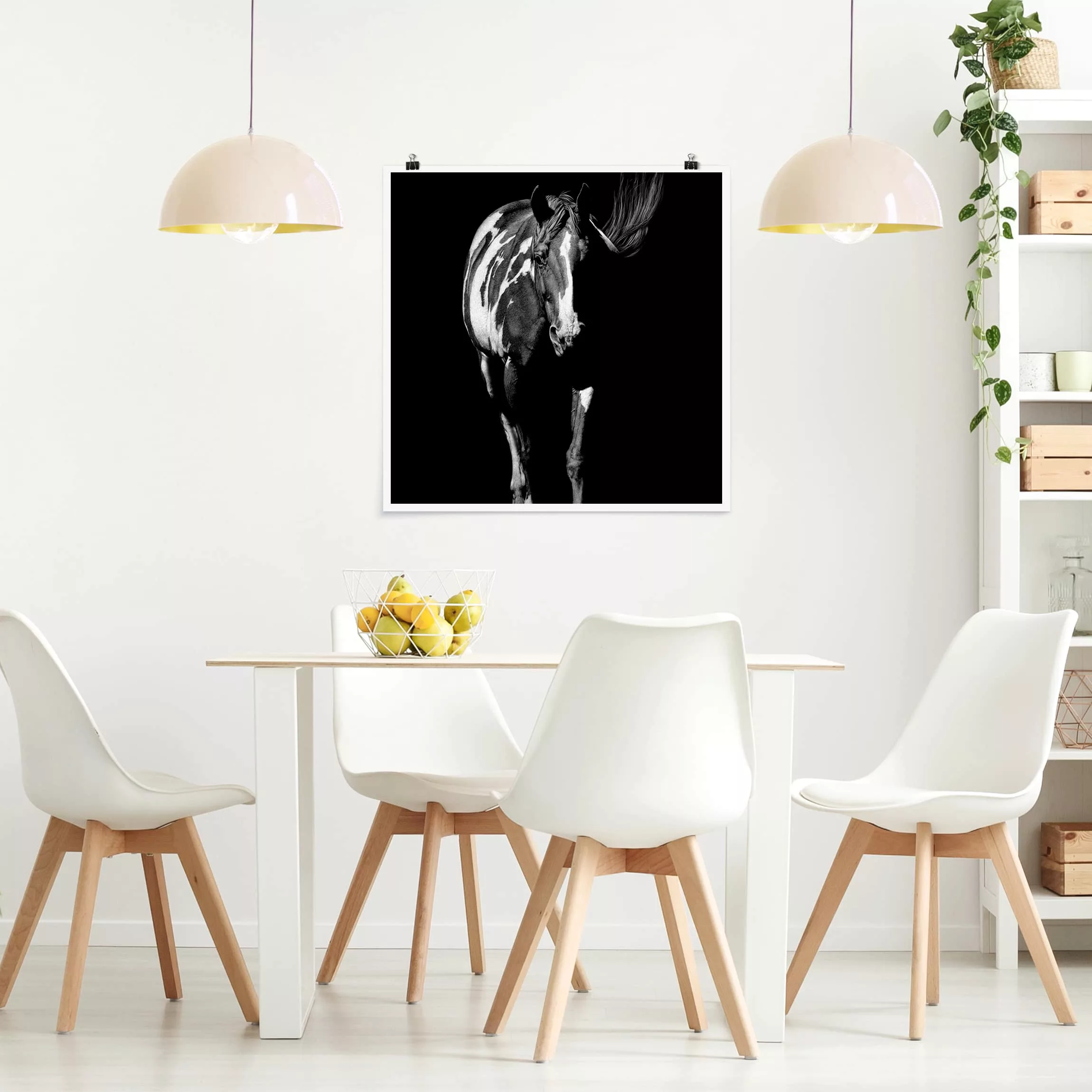 Poster Tiere - Quadrat Pferd vor Schwarz günstig online kaufen