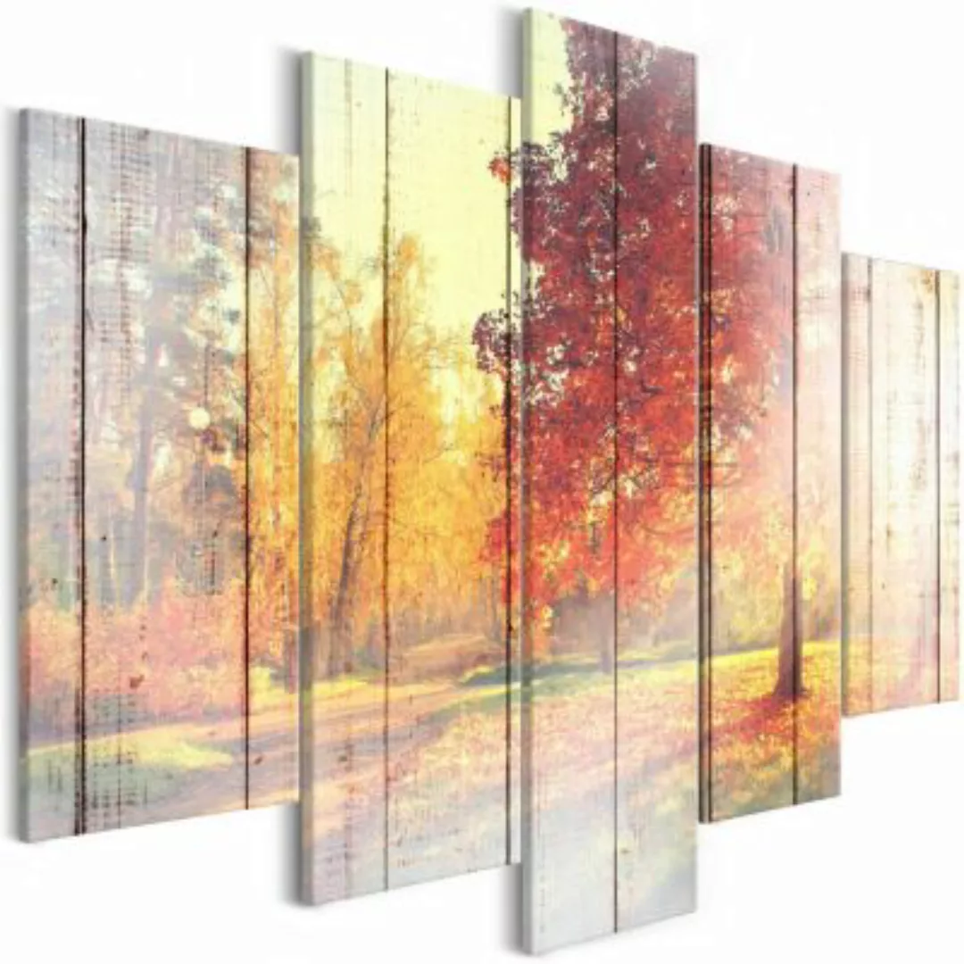 artgeist Wandbild Autumn Sun (5 Parts) Wide mehrfarbig Gr. 200 x 100 günstig online kaufen