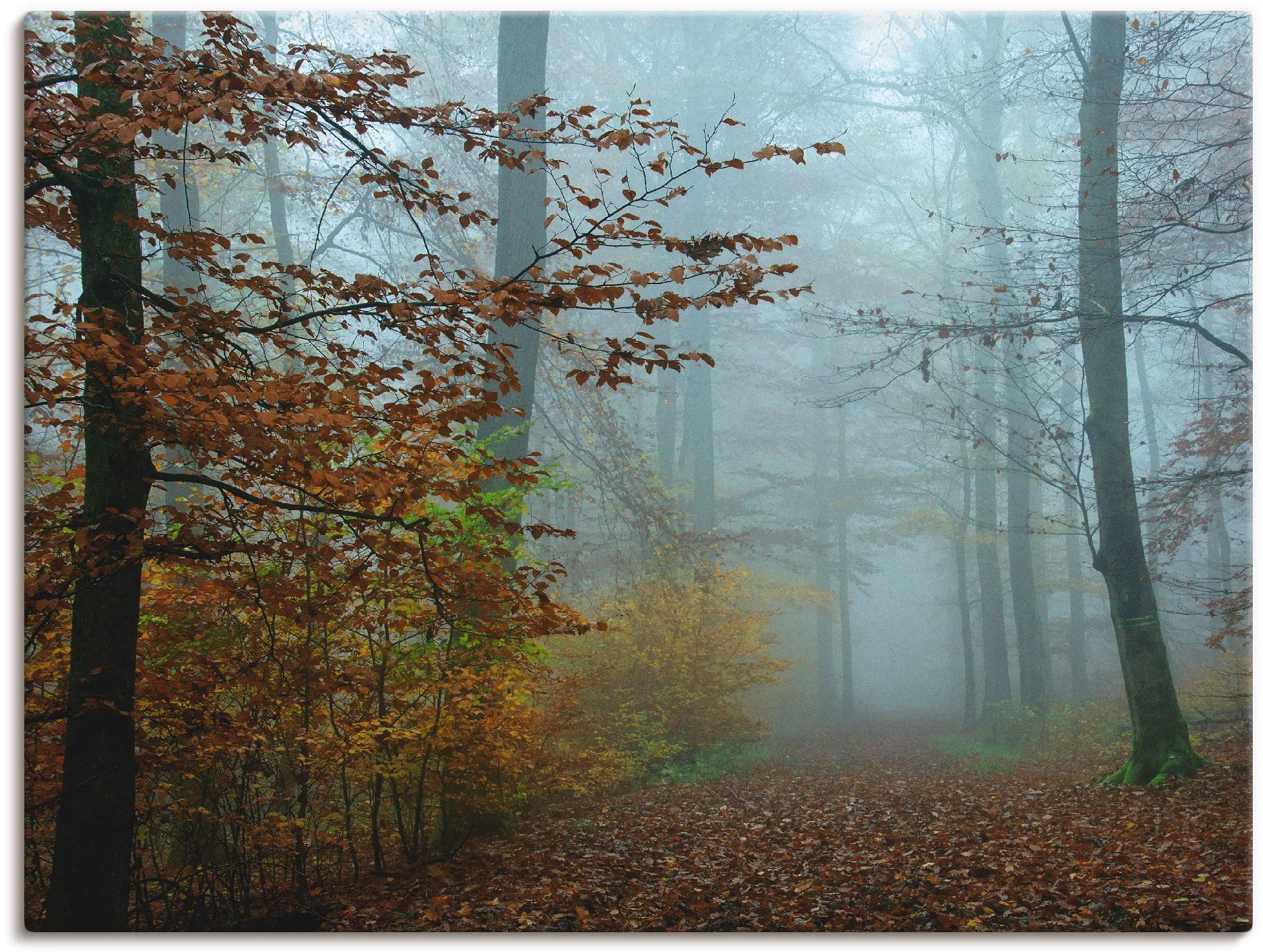 Artland Wandbild "Nebel im Herbstwald", Wald, (1 St.), als Leinwandbild, Po günstig online kaufen