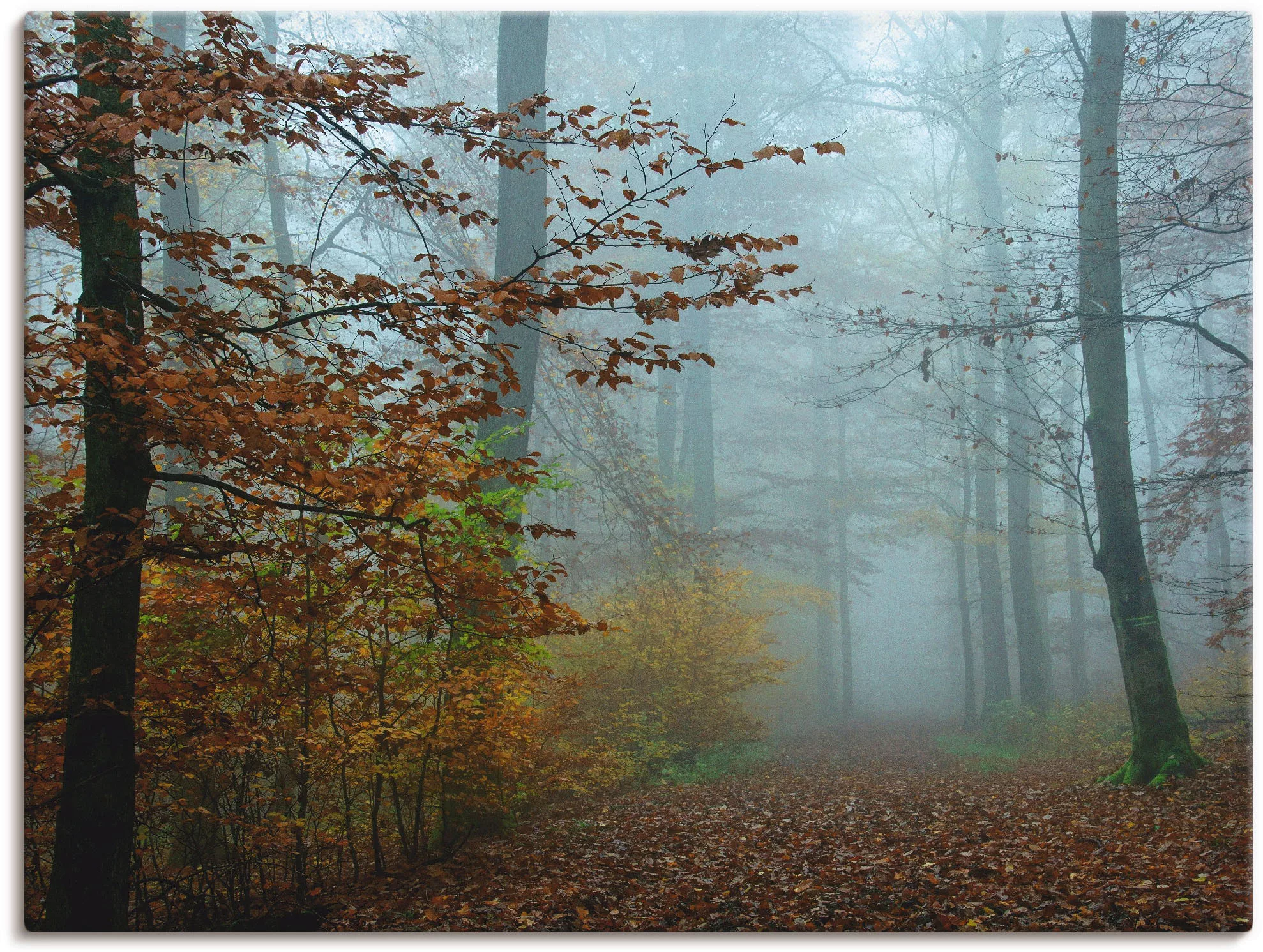 Artland Wandbild »Nebel im Herbstwald«, Wald, (1 St.) günstig online kaufen