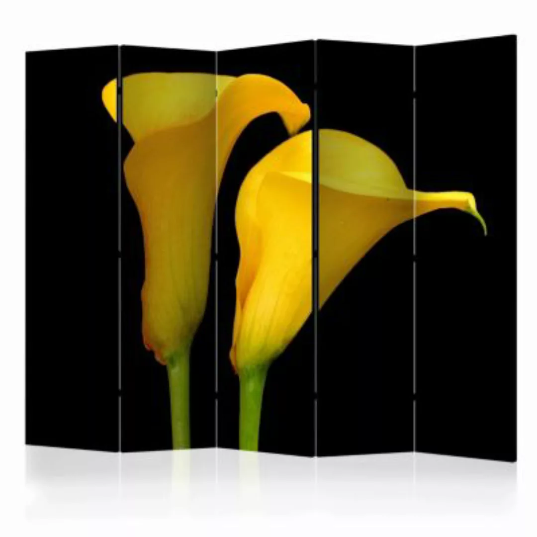 artgeist Paravent Two yellow calla flowers on a black background II [Room D günstig online kaufen