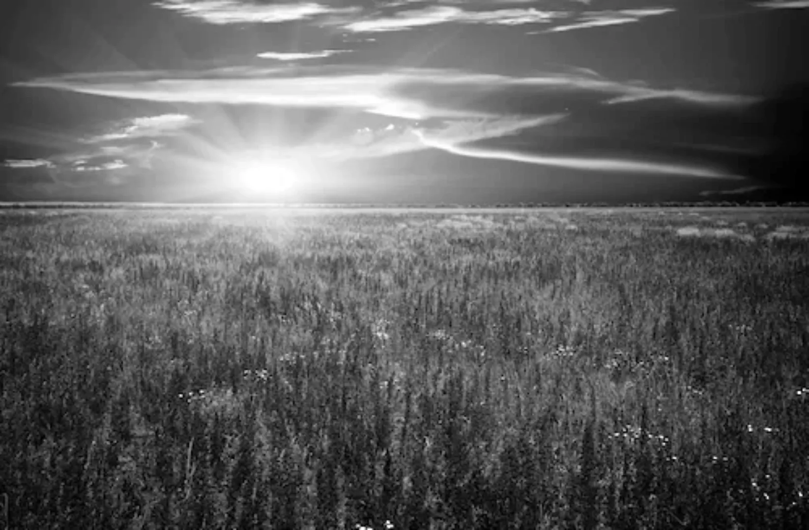 Papermoon Fototapete »Landschaft Schwarz & Weiß« günstig online kaufen