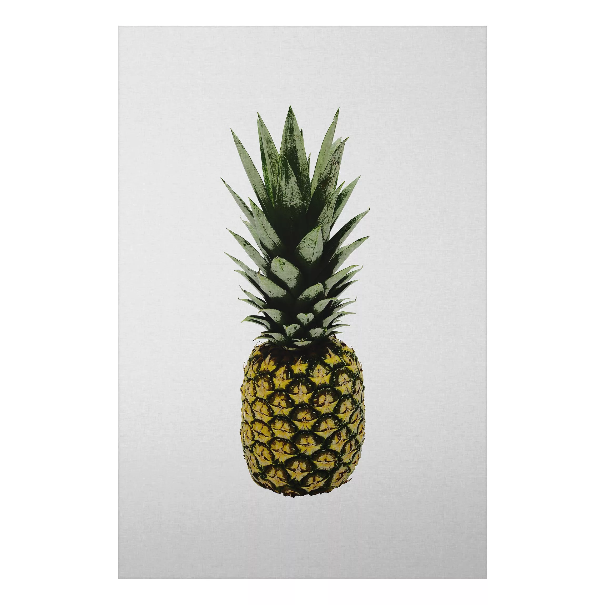 Alu-Dibond Bild Ananas günstig online kaufen