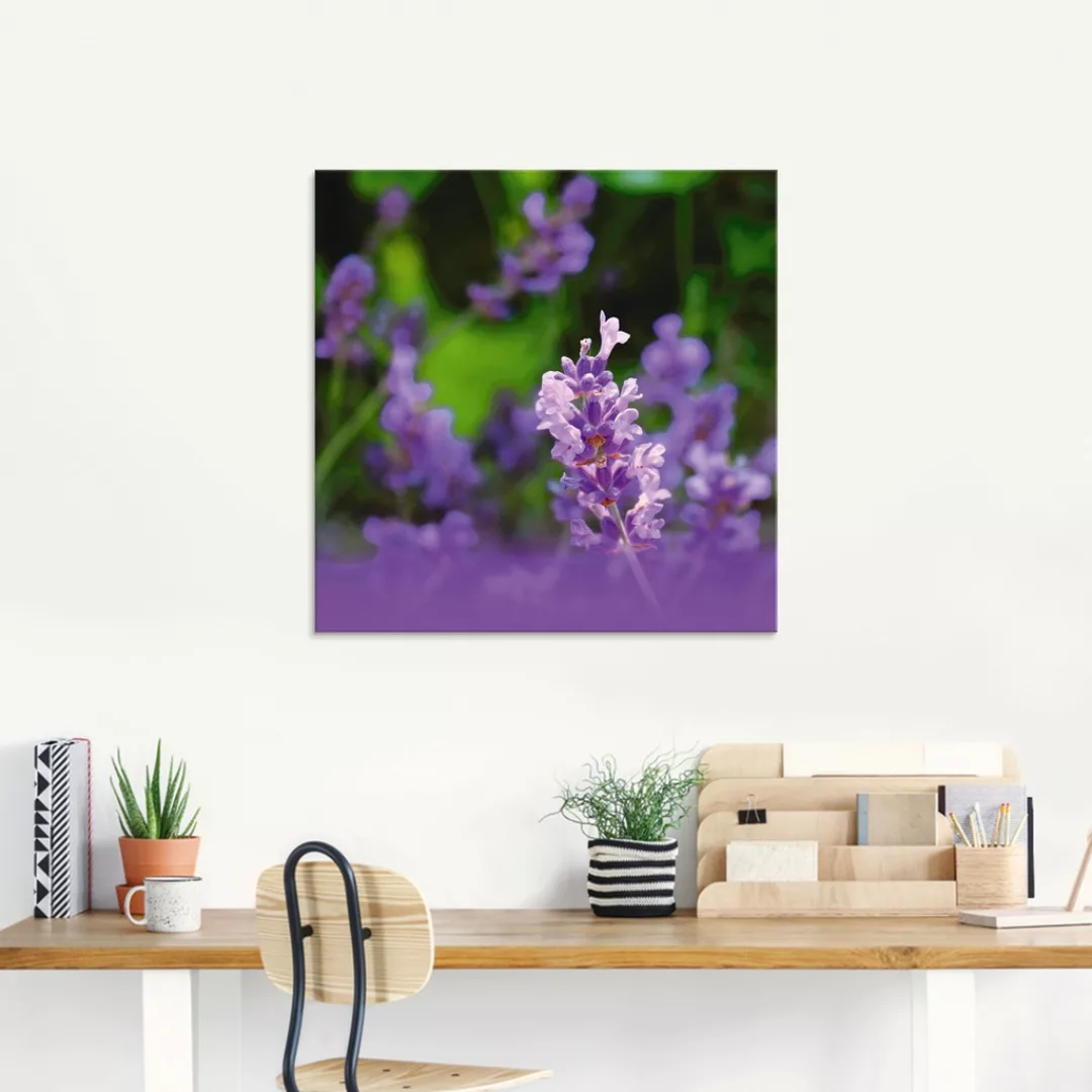 Artland Glasbild "Lavendel", Blumen, (1 St.), in verschiedenen Größen günstig online kaufen