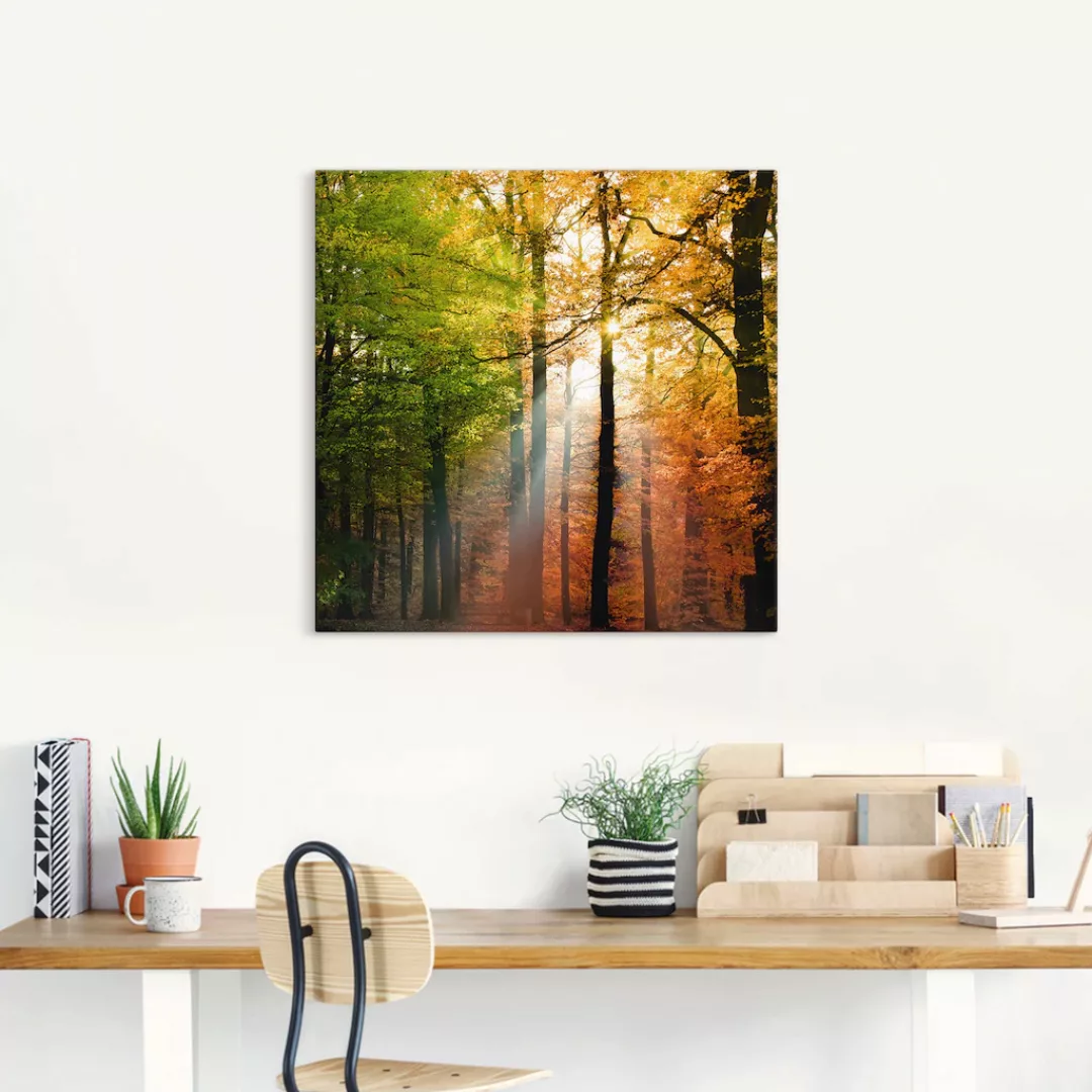 Artland Wandbild "Schöner Herbsttag 2", Wald, (1 St.), als Alubild, Outdoor günstig online kaufen