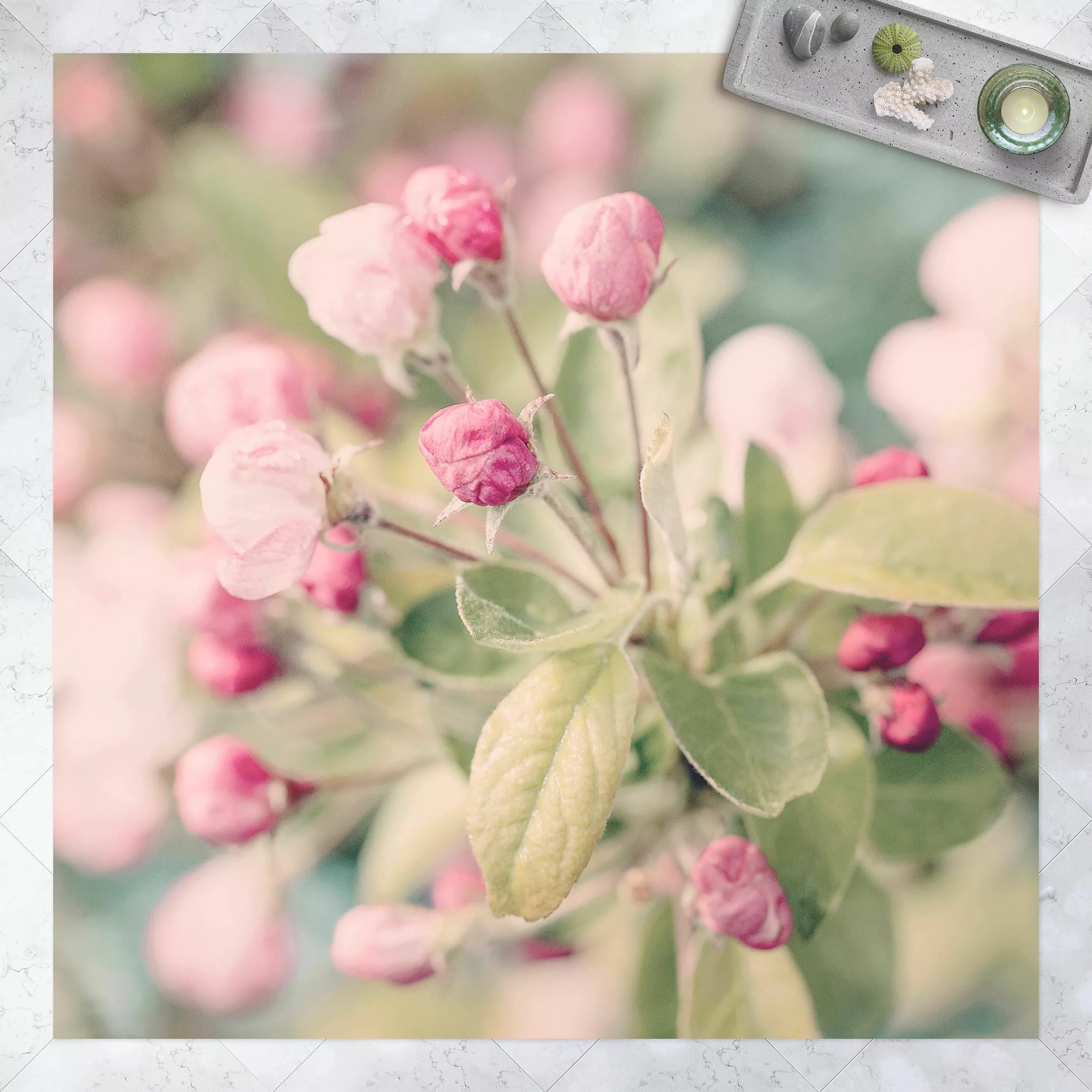 Vinyl-Teppich Apfelblüte Bokeh rosa günstig online kaufen