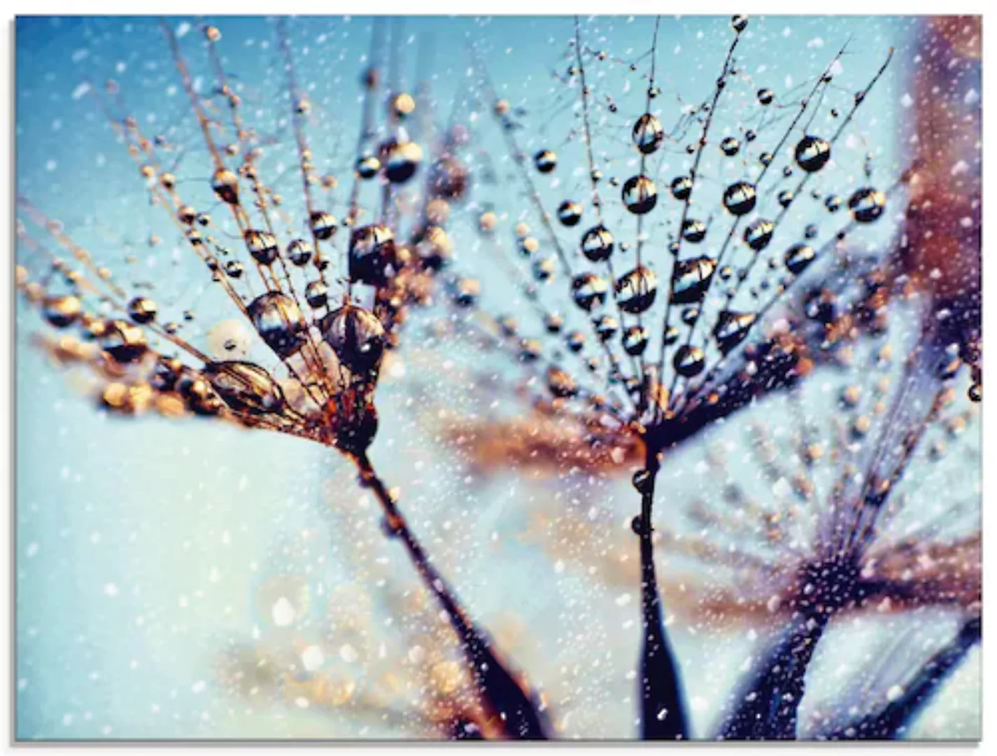 Artland Glasbild "Pusteblume Regen abstrakt", Blumen, (1 St.), in verschied günstig online kaufen