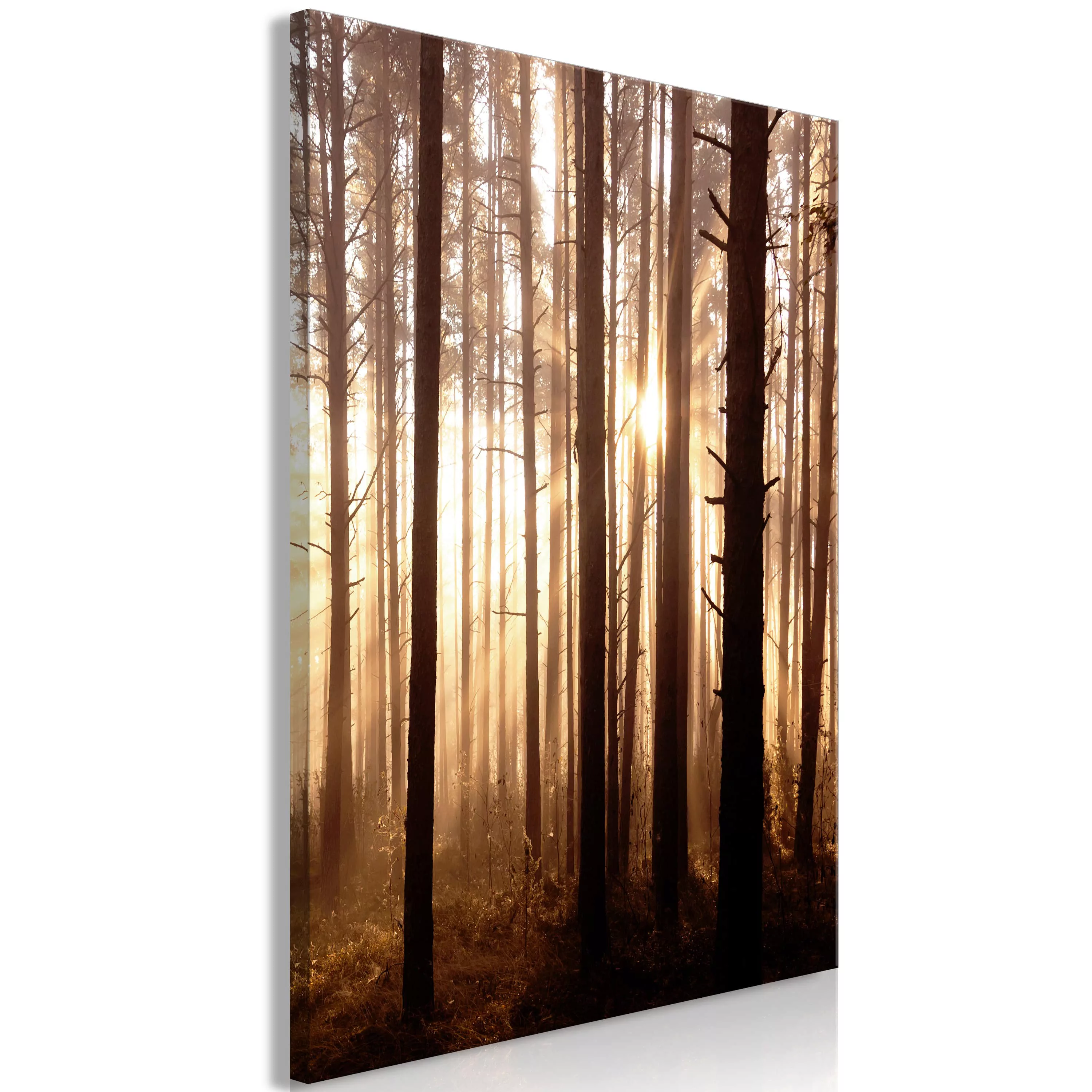Wandbild - Forest Paths (1 Part) Vertical günstig online kaufen