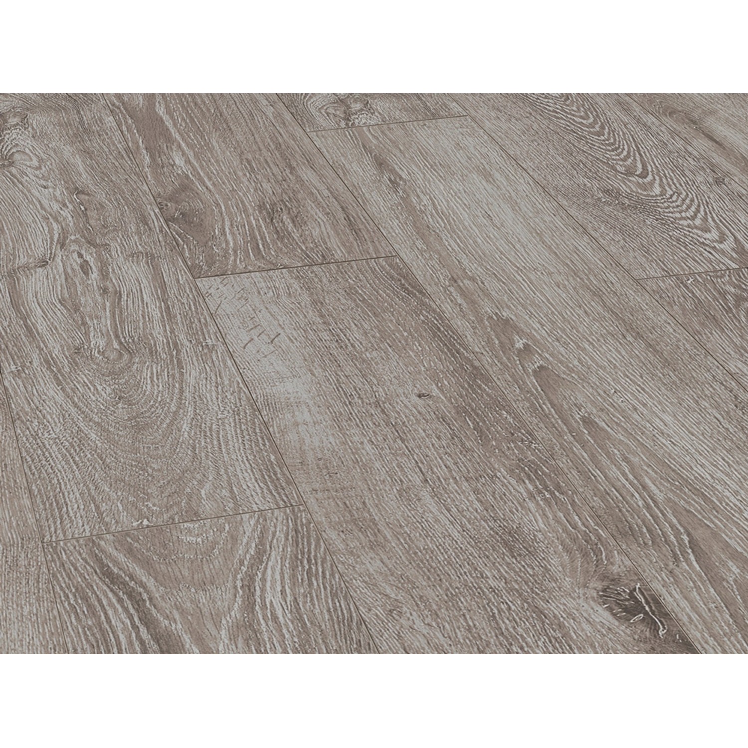 Parador Basic 400 Laminat 8 mm Wasserfest Eiche Lichtgrau günstig online kaufen