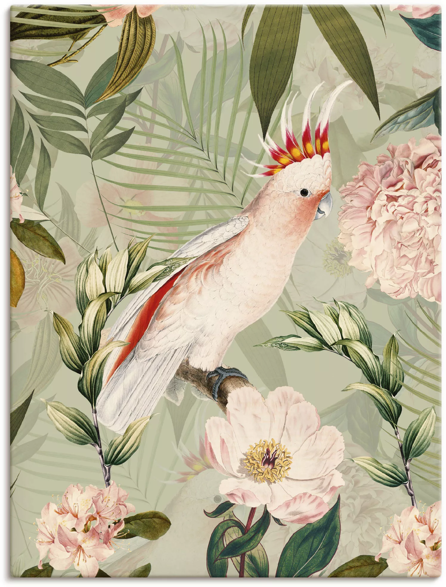 Artland Wandbild »Vintage Papagei«, Vogelbilder, (1 St.), als Alubild, Outd günstig online kaufen