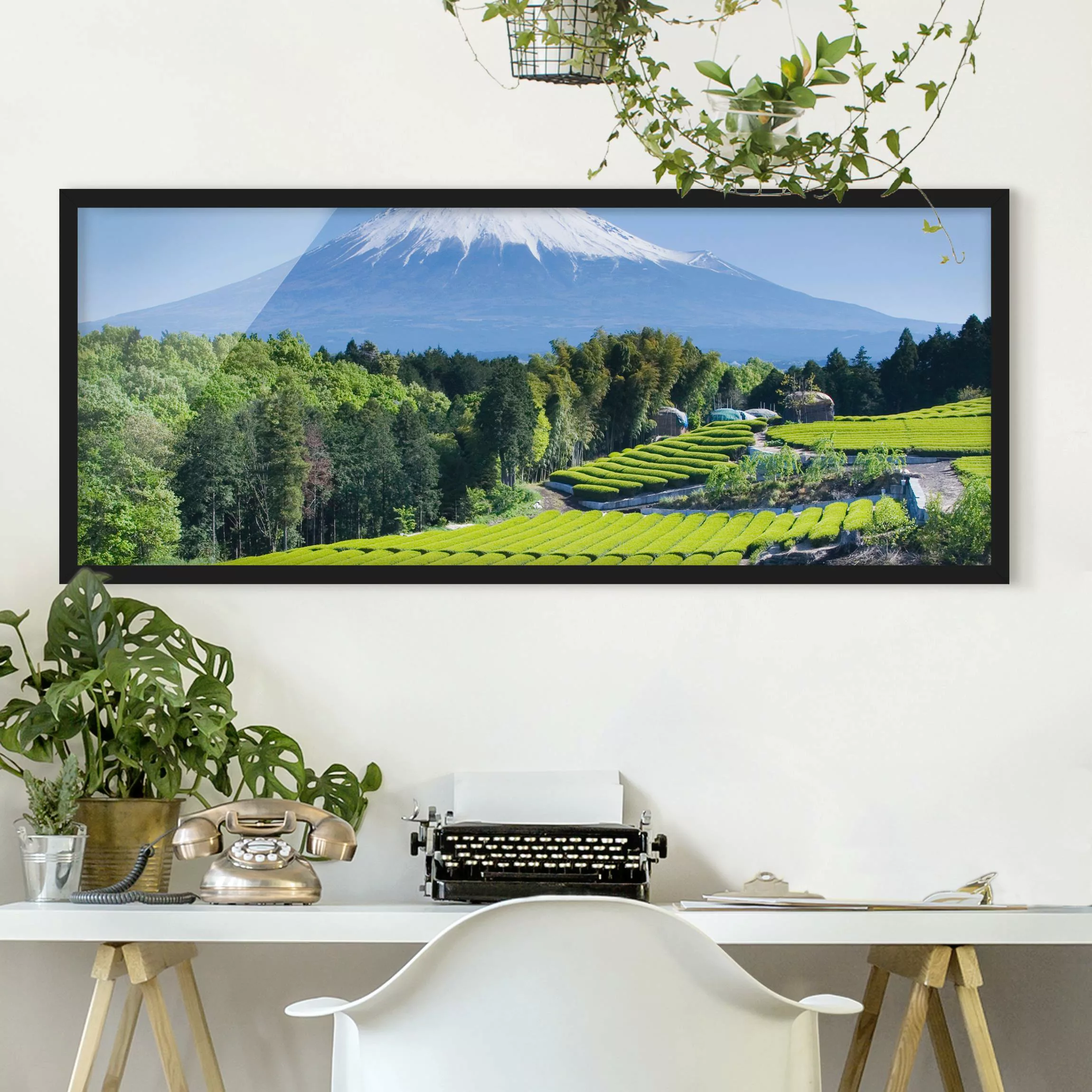 Bild mit Rahmen Strand - Panorama Teefelder vor dem Fuji günstig online kaufen