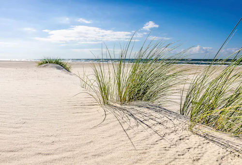 Papermoon Fototapete »DÜNEN-NATUR NORD SEE SAND STRAND MEER WÜSTE LANDSCHAF günstig online kaufen