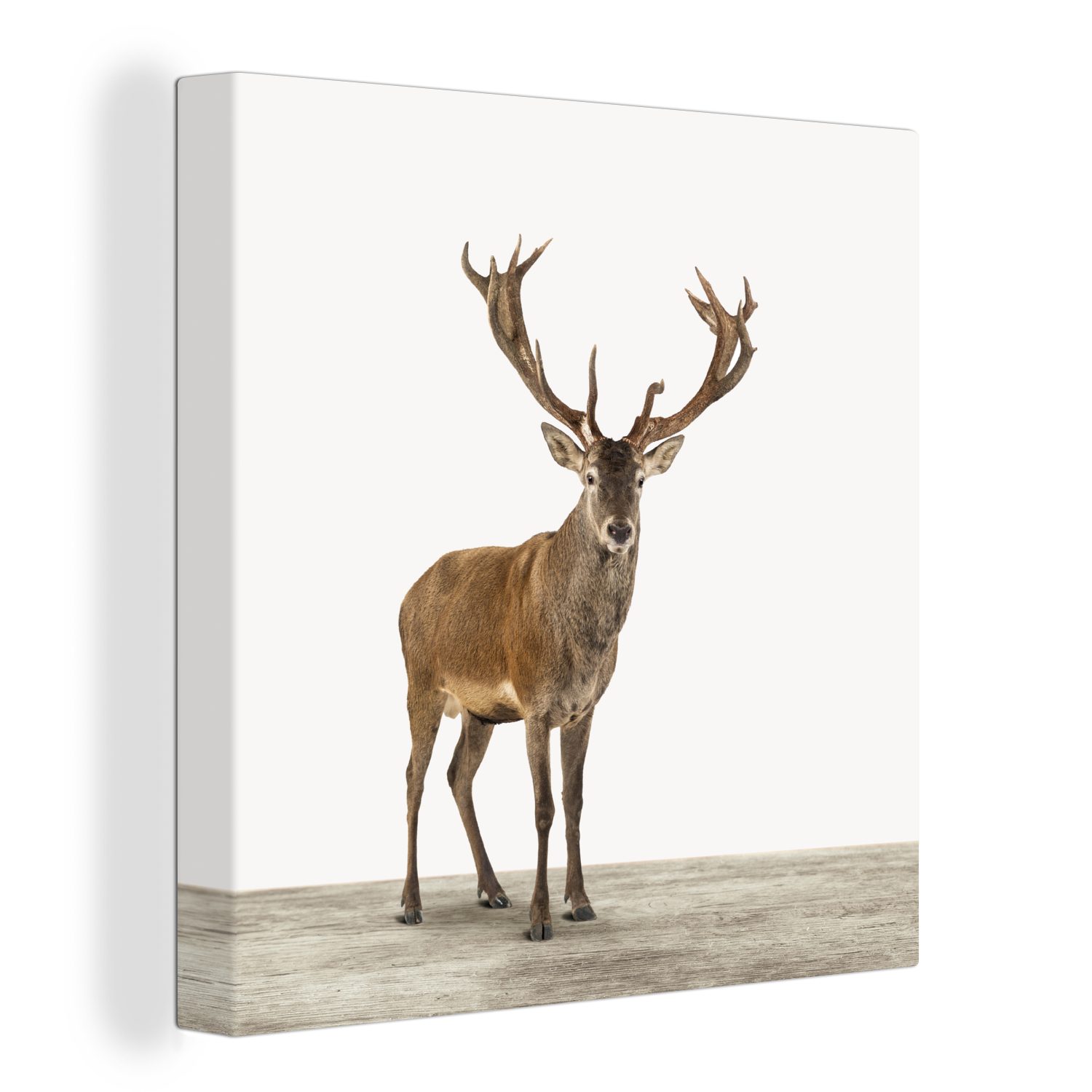 OneMillionCanvasses® Leinwandbild Hirsche - Tiere - günstig online kaufen