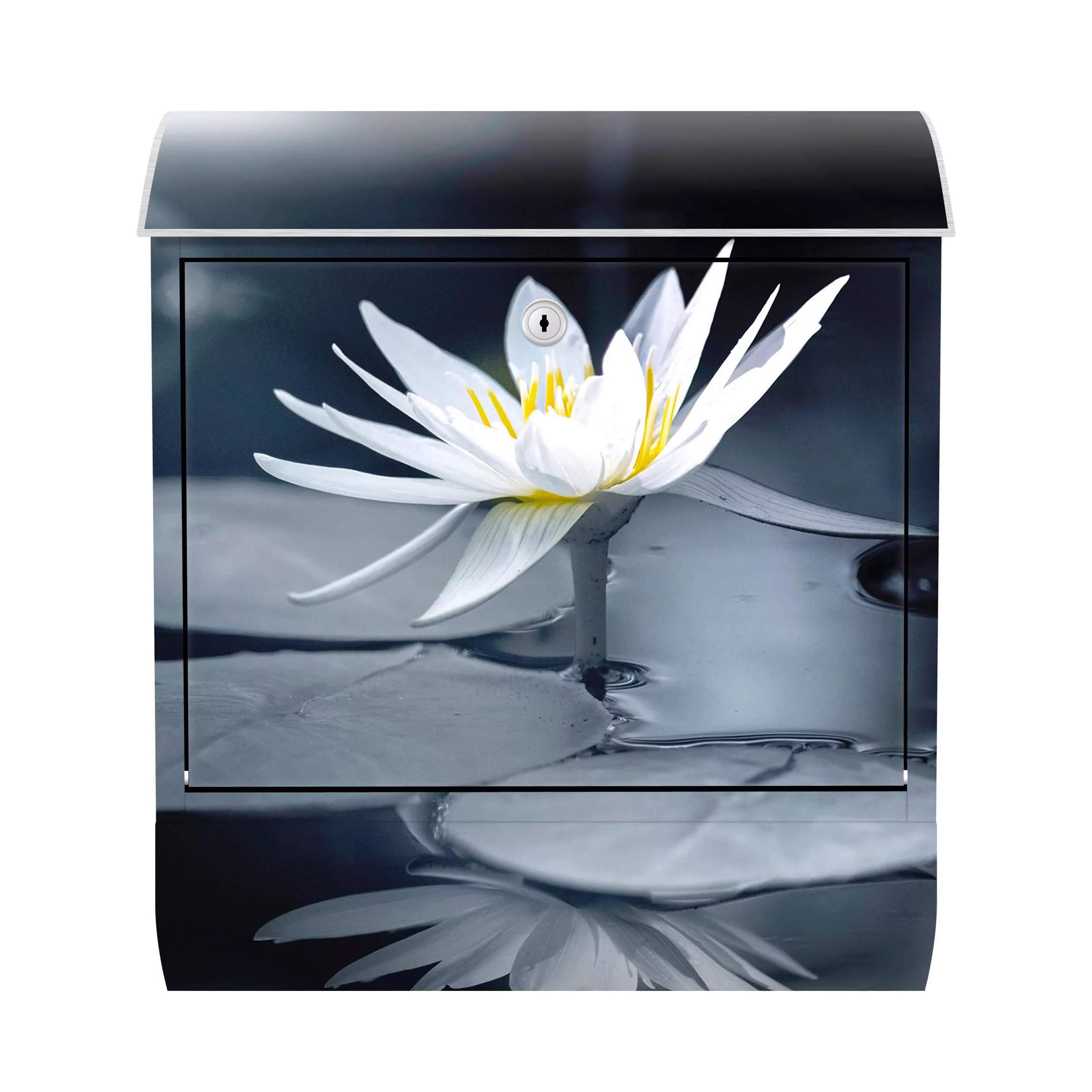 Briefkasten Blumen Lotus Spiegelung im Wasser günstig online kaufen