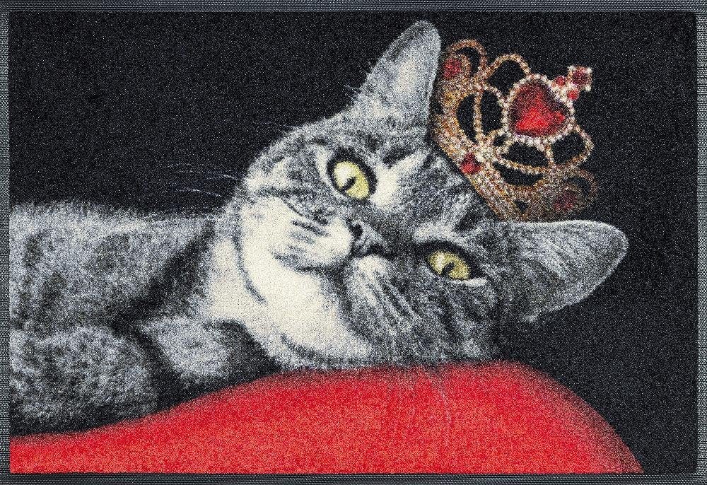 wash+dry by Kleen-Tex Fußmatte Royal Cat, günstig online kaufen