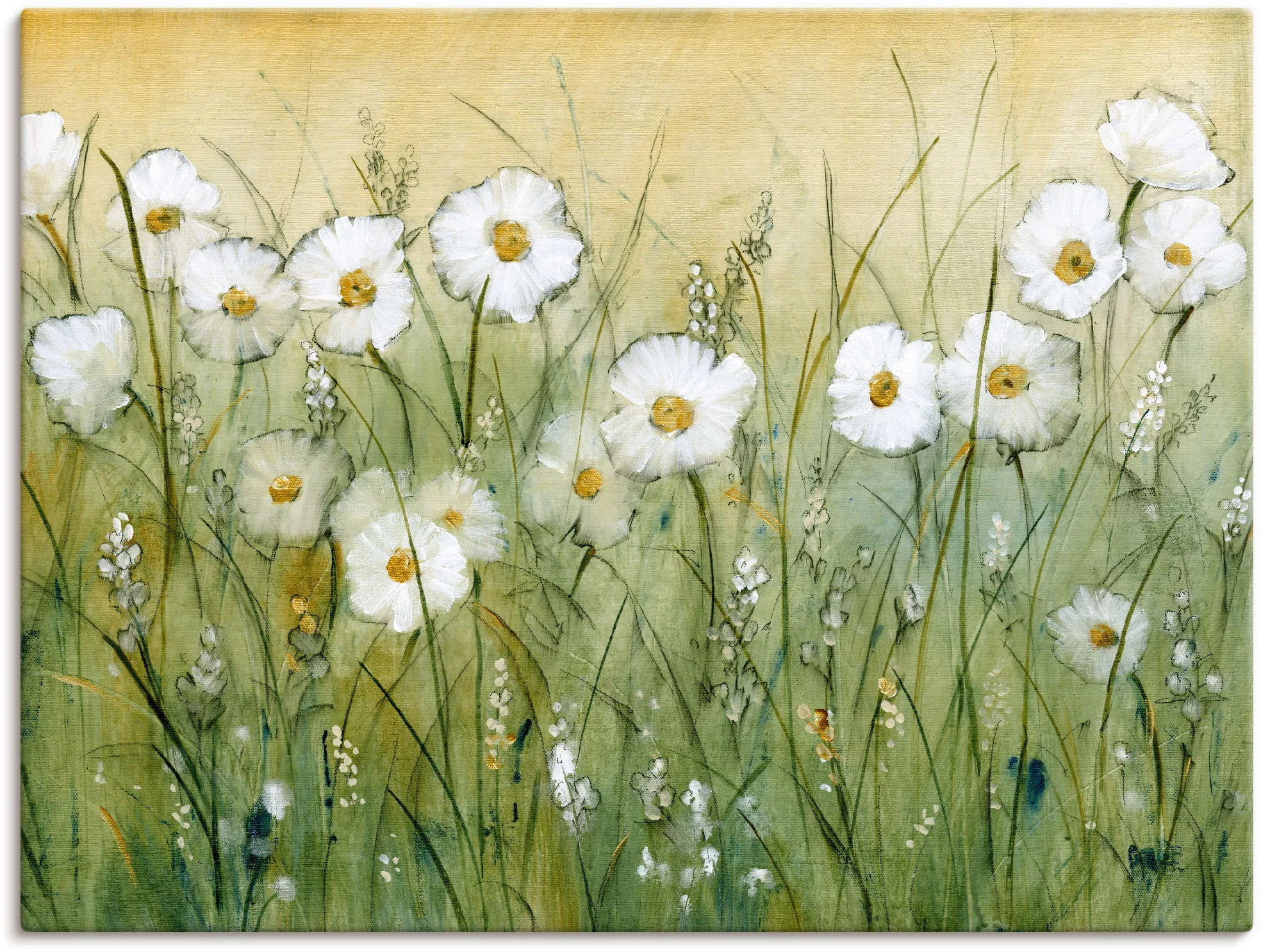 Artland Wandbild "Gänseblümchenfrühling II", Blumen, (1 St.), als Alubild, günstig online kaufen