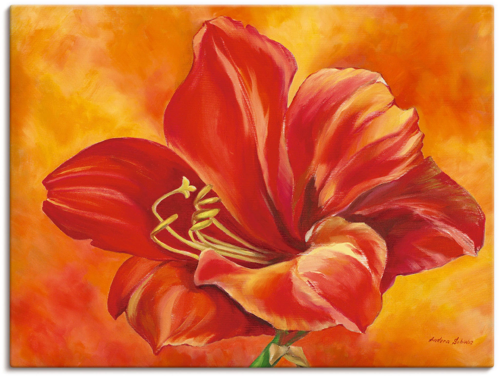 Artland Wandbild "Amaryllis", Blumen, (1 St.), als Leinwandbild, Poster in günstig online kaufen