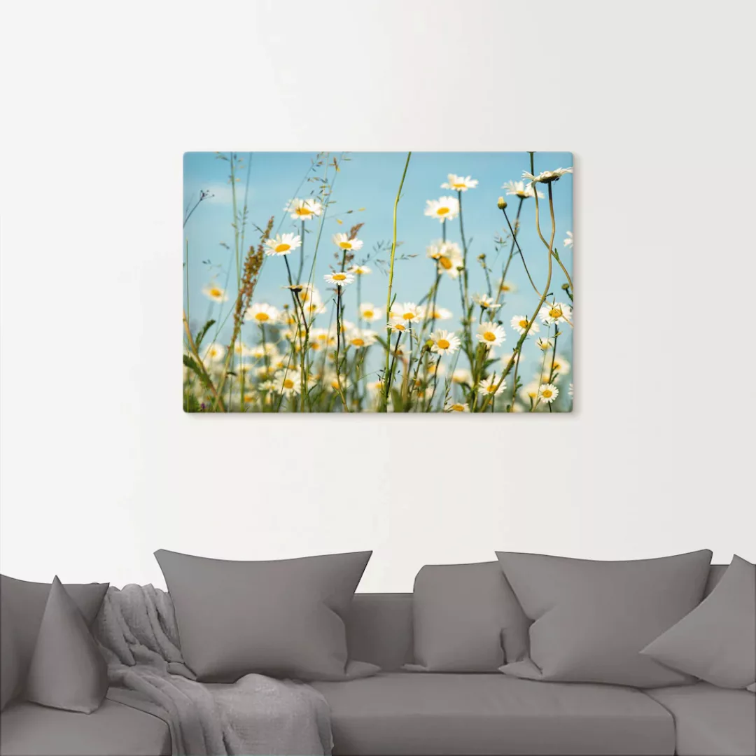 Artland Wandbild "Margeriten vor Sommer Himmel", Blumenbilder, (1 St.), als günstig online kaufen