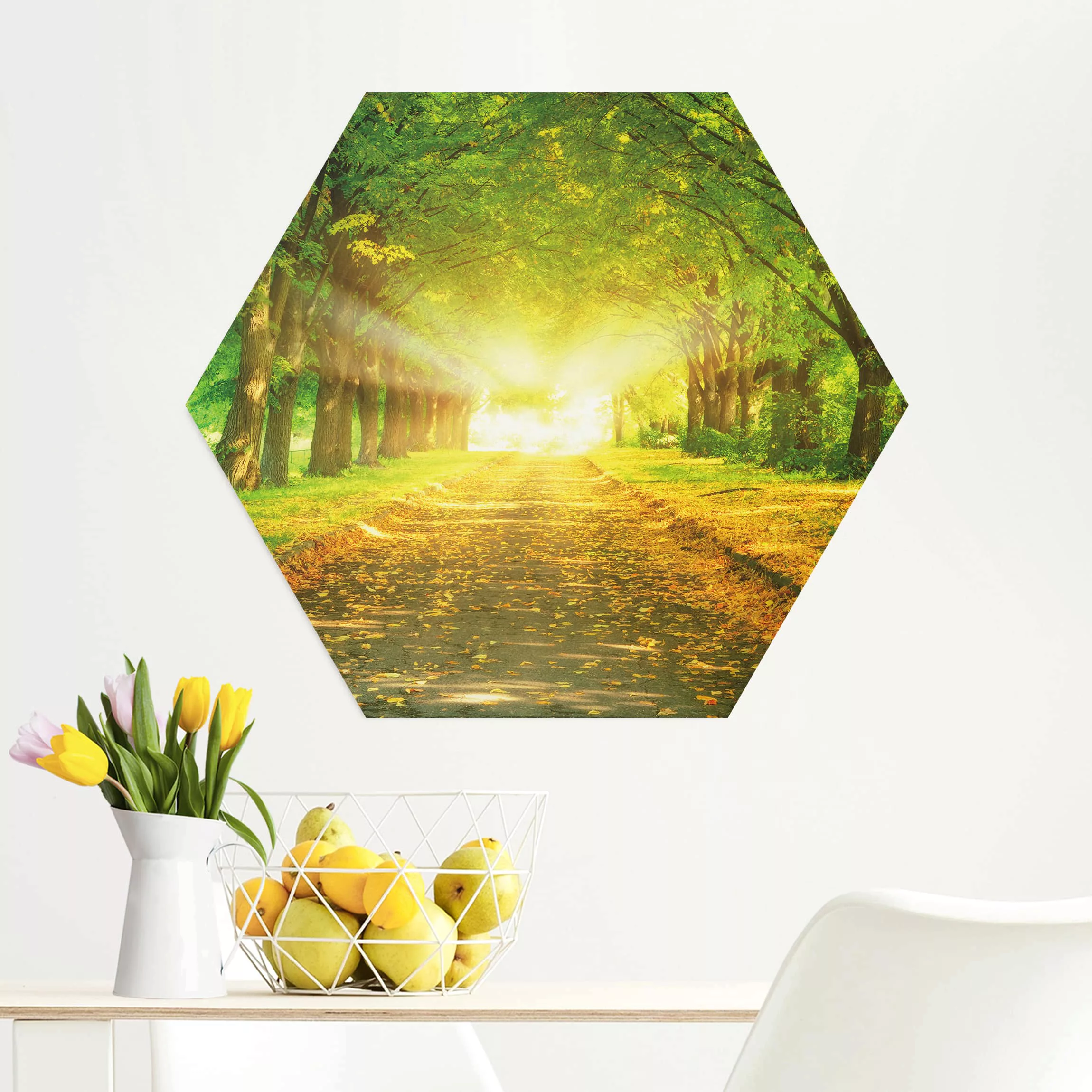Hexagon-Alu-Dibond Bild Natur & Landschaft Autumn Avenue günstig online kaufen