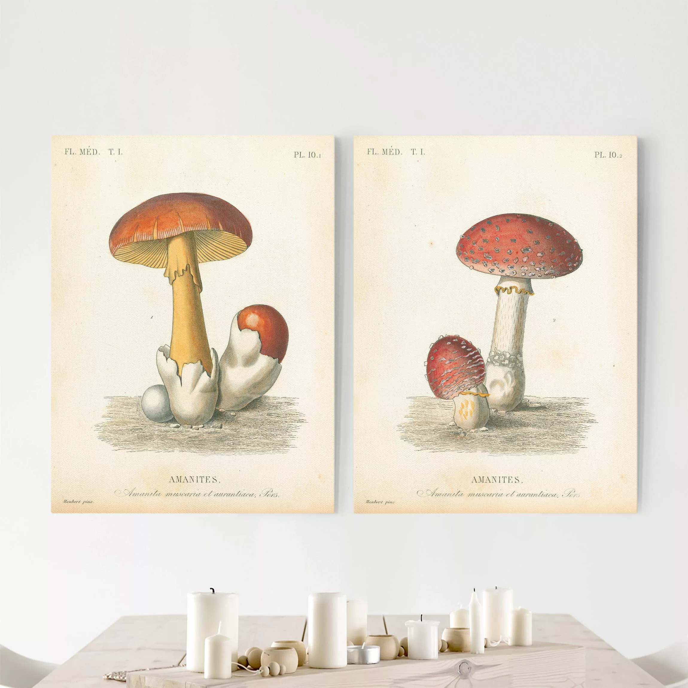 Leinwandbild 2-teilig Französische Pilze günstig online kaufen