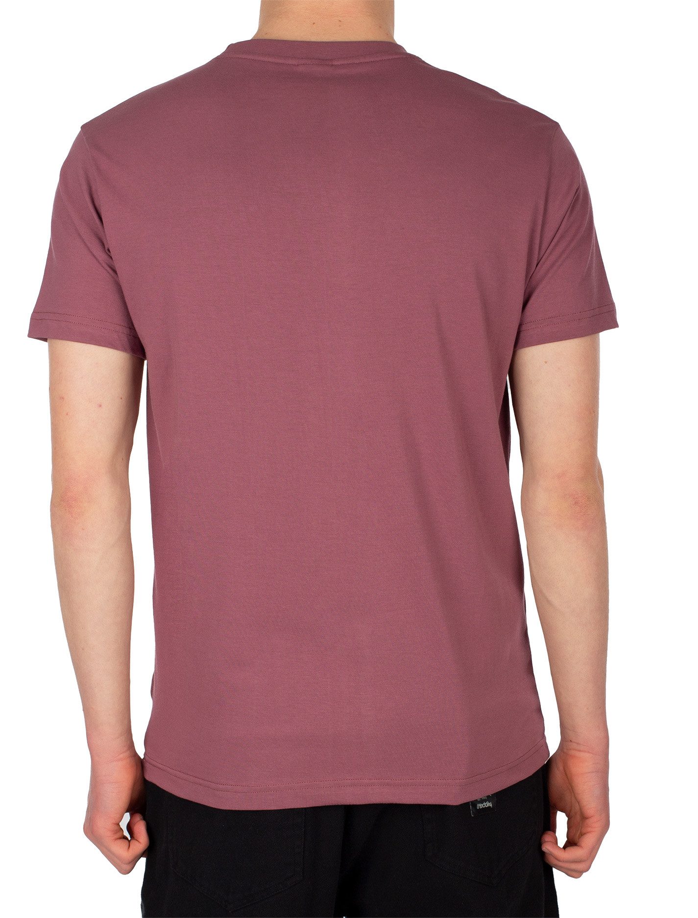 iriedaily T-Shirt T-Shirt Iriedaily Chestflag günstig online kaufen