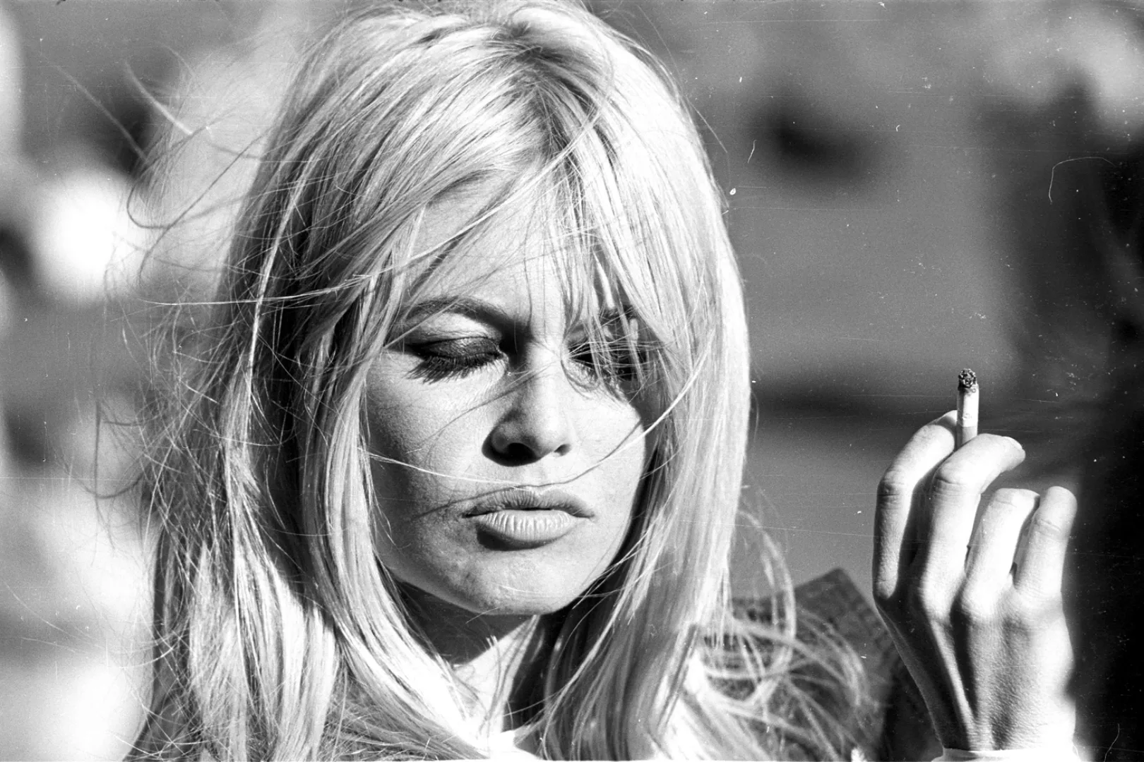 queence Acrylglasbild "Brigitte Bardot", Schwarz-Weiß-Frau-Stars-Portrait-F günstig online kaufen