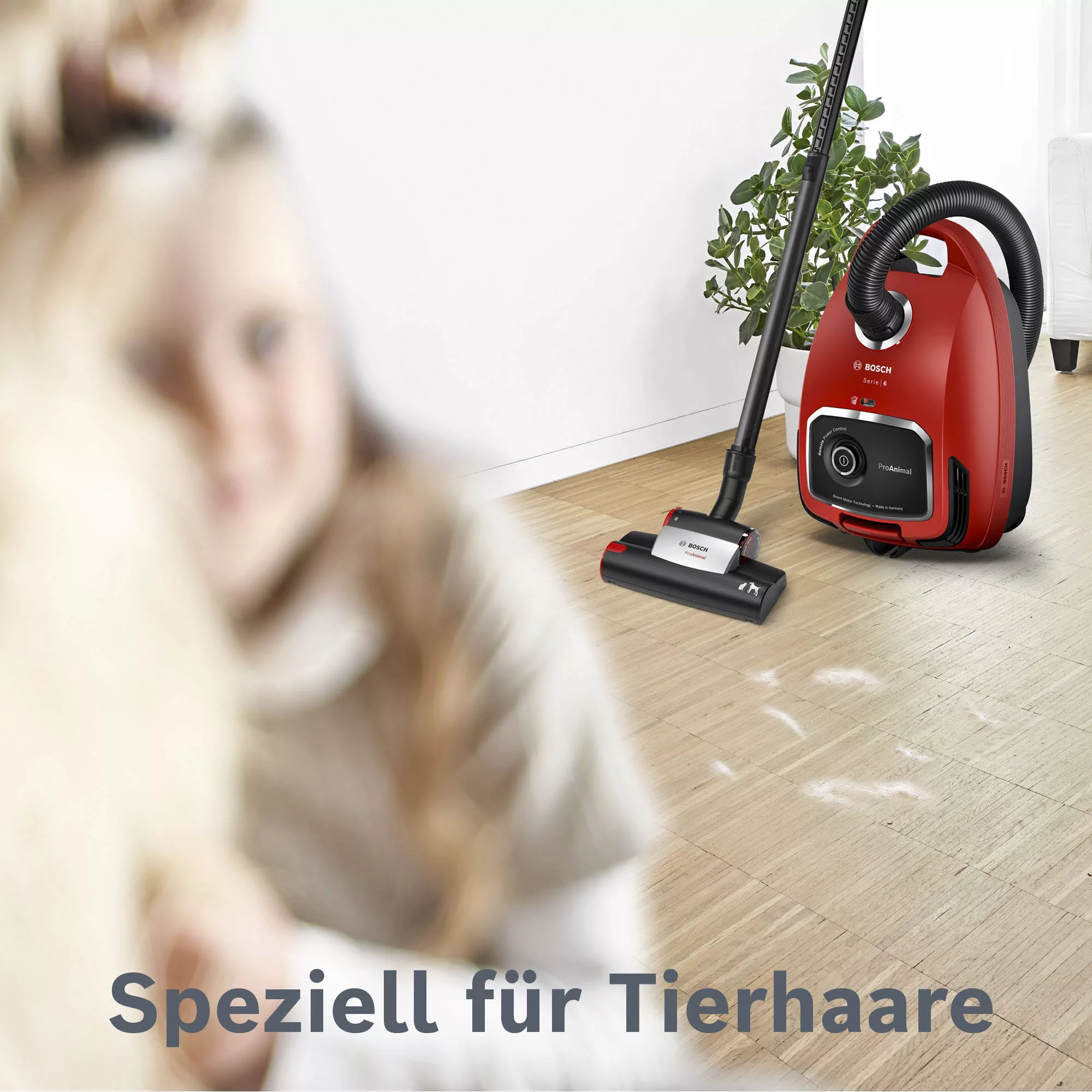 BOSCH Bodenstaubsauger »ProAnimal Serie 6, BGL6TPET«, 700 W, mit Beutel, Id günstig online kaufen