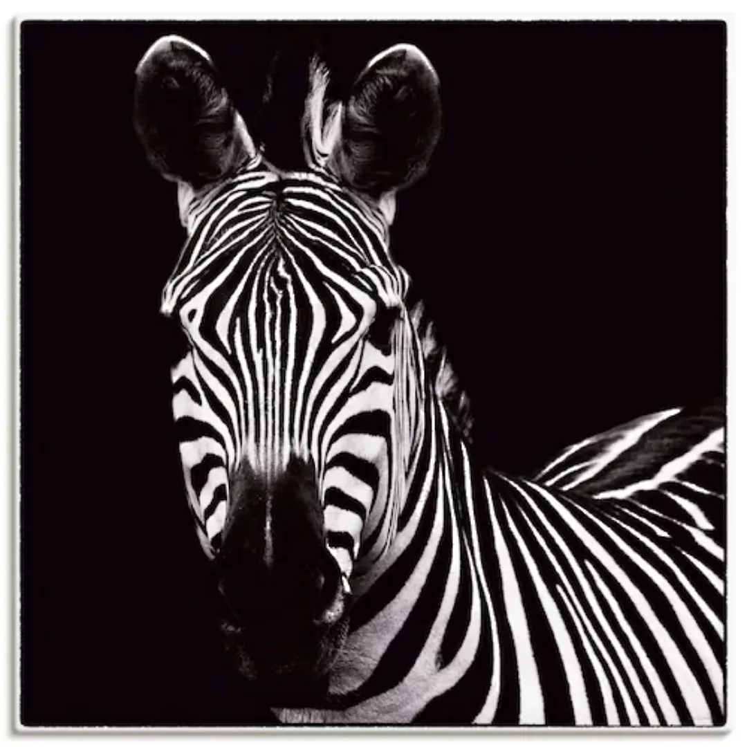 Artland Wandbild »Zebra II«, Wildtiere, (1 St.), als Leinwandbild, Wandaufk günstig online kaufen