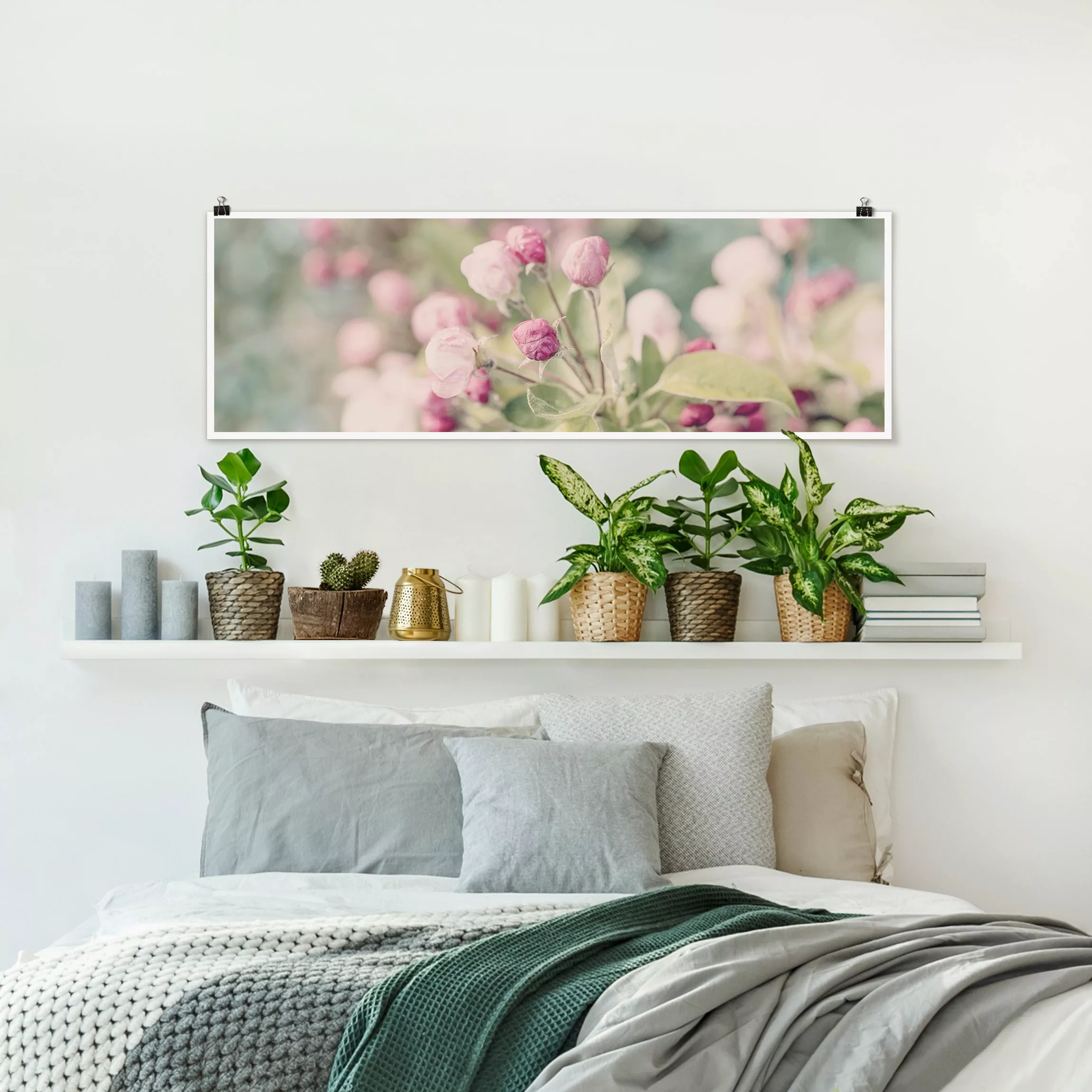 Poster Apfelblüte Bokeh rosa günstig online kaufen