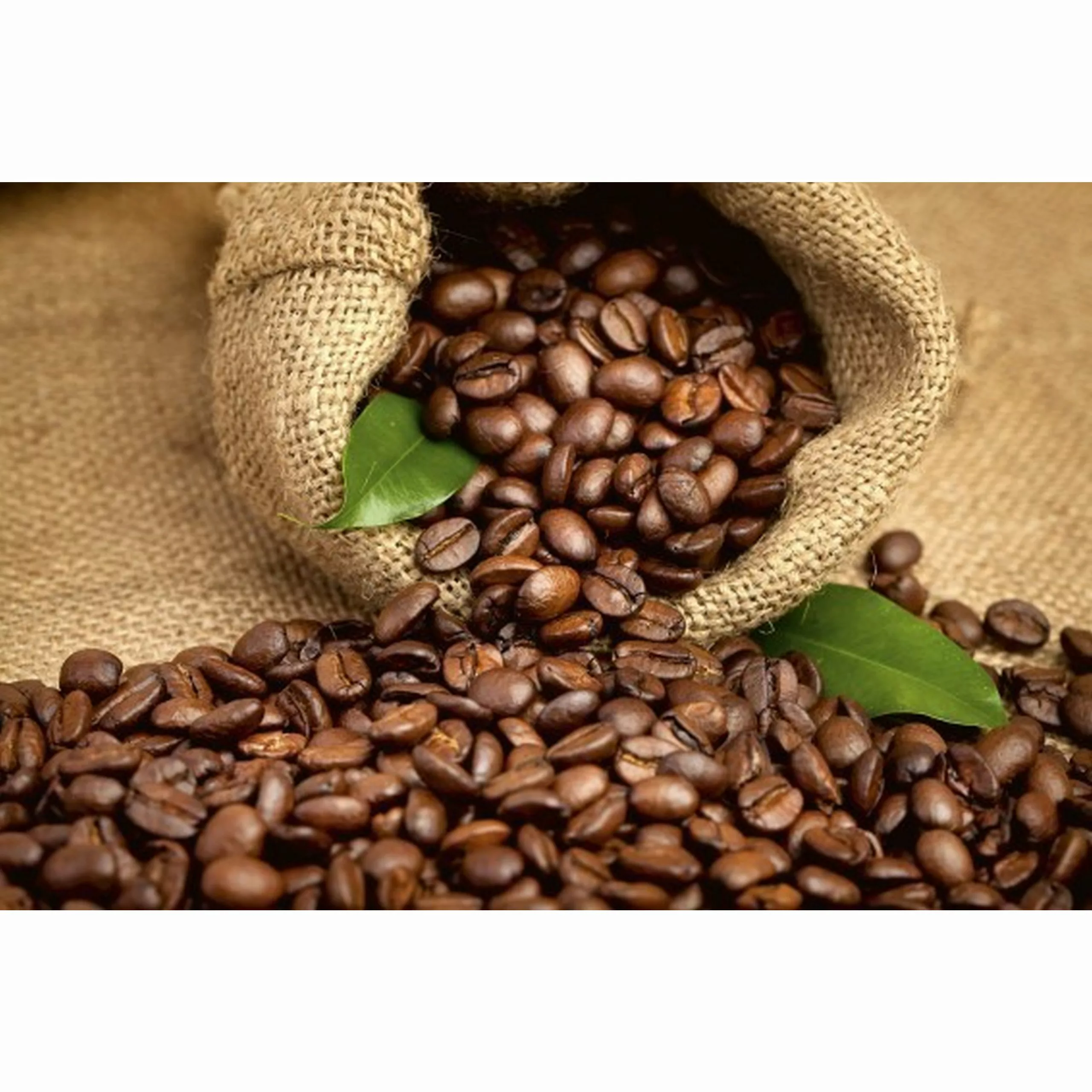Fototapete COFFEE BEANS  | MS-5-0244 | Braun | Digitaldruck auf Vliesträger günstig online kaufen