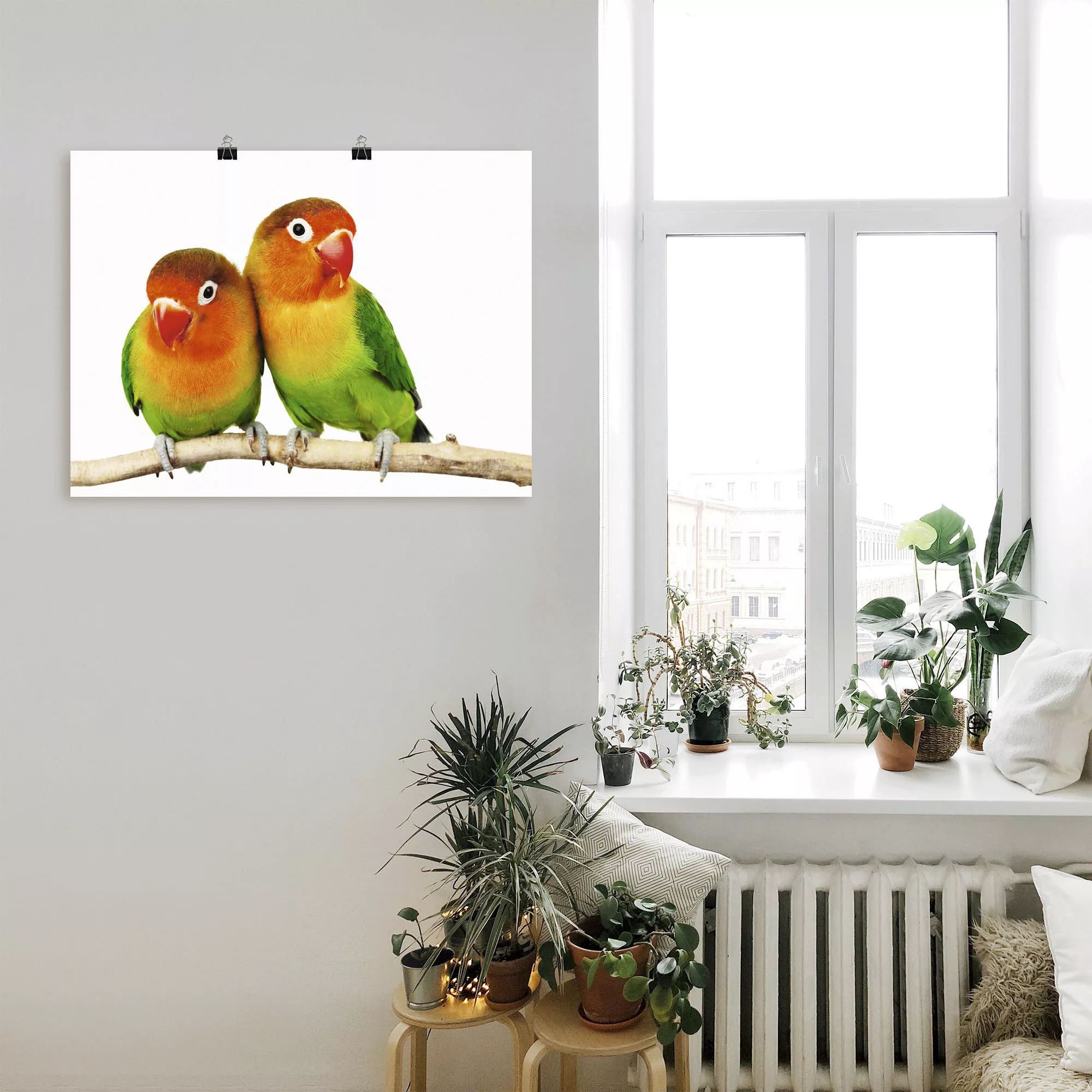 Artland Wandbild »Paar von Grauköpfchen - Papageien«, Vögel, (1 St.), als L günstig online kaufen