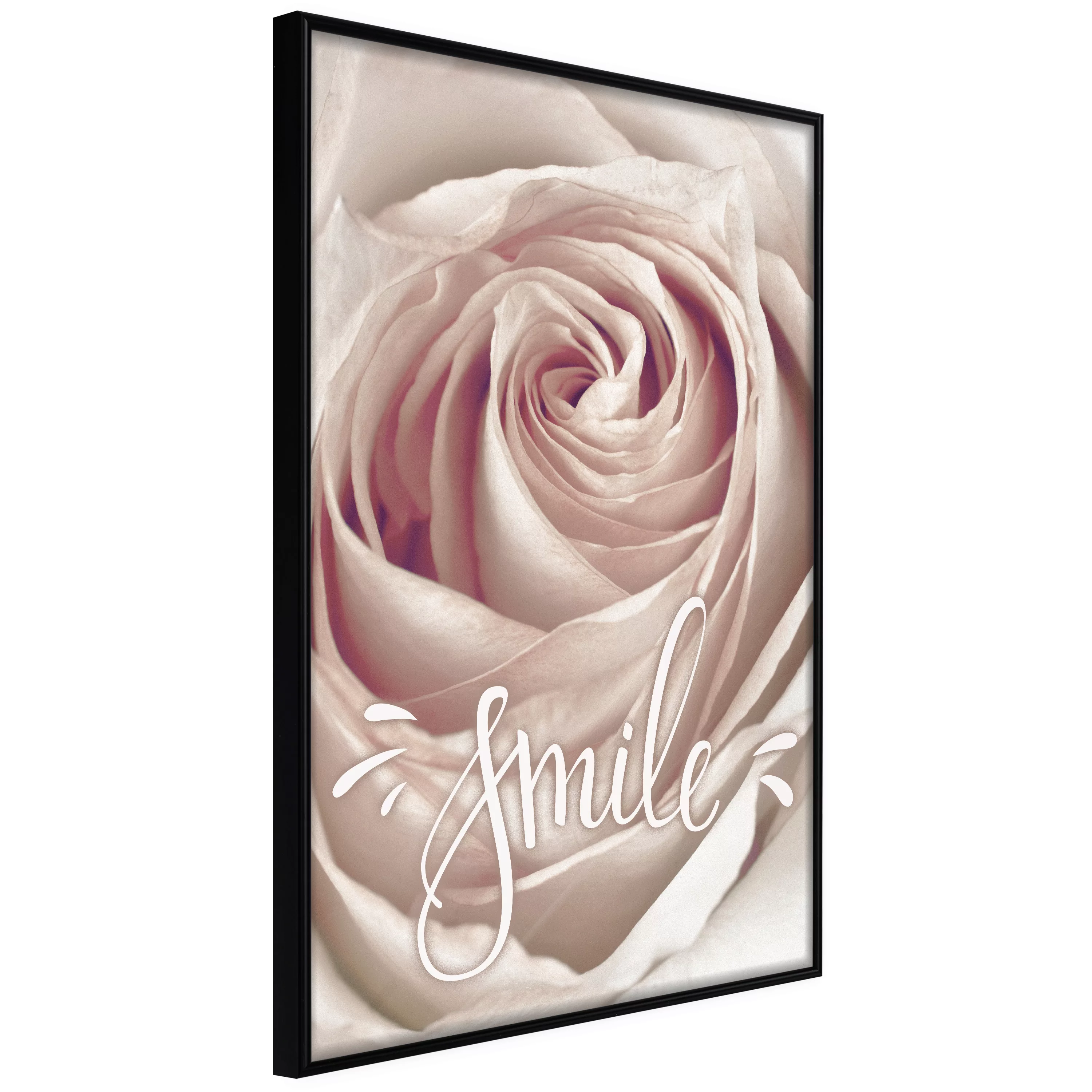 Poster - Rose With A Message günstig online kaufen