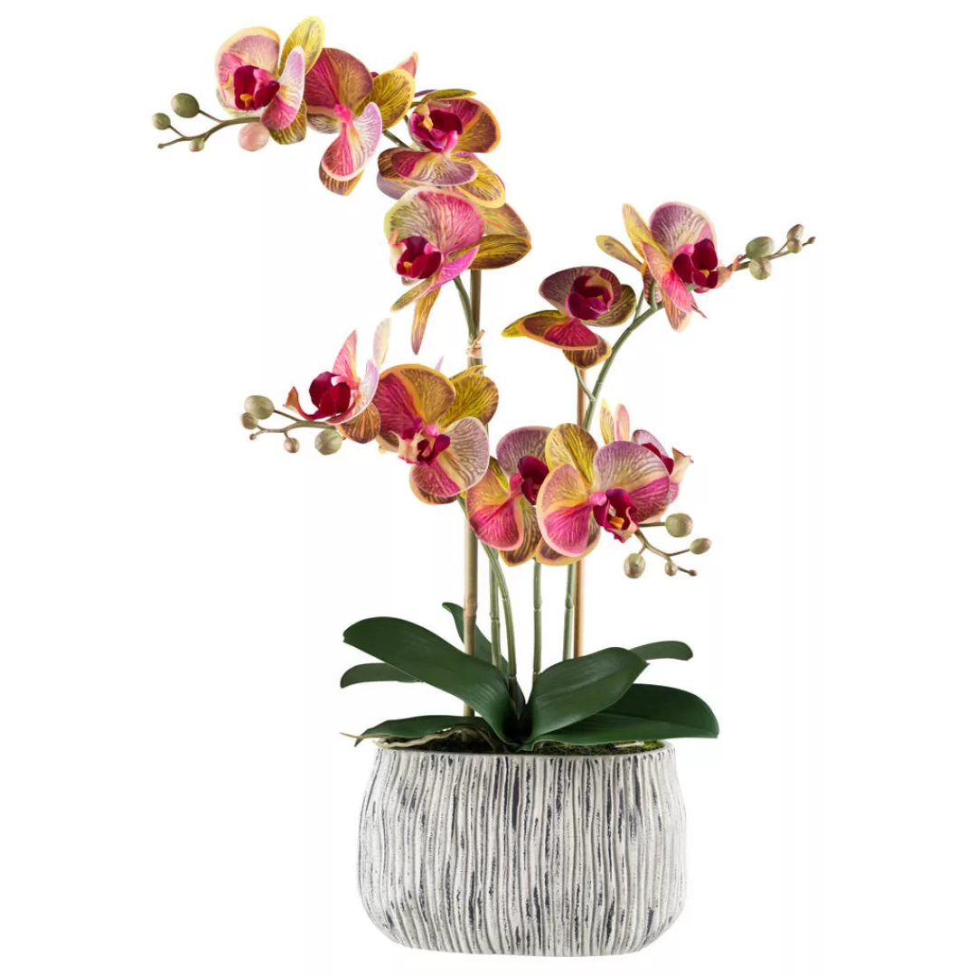 Kunstpflanze Phalaenopsis pink Kunststoff B/H/L: ca. 27x50x27 cm günstig online kaufen