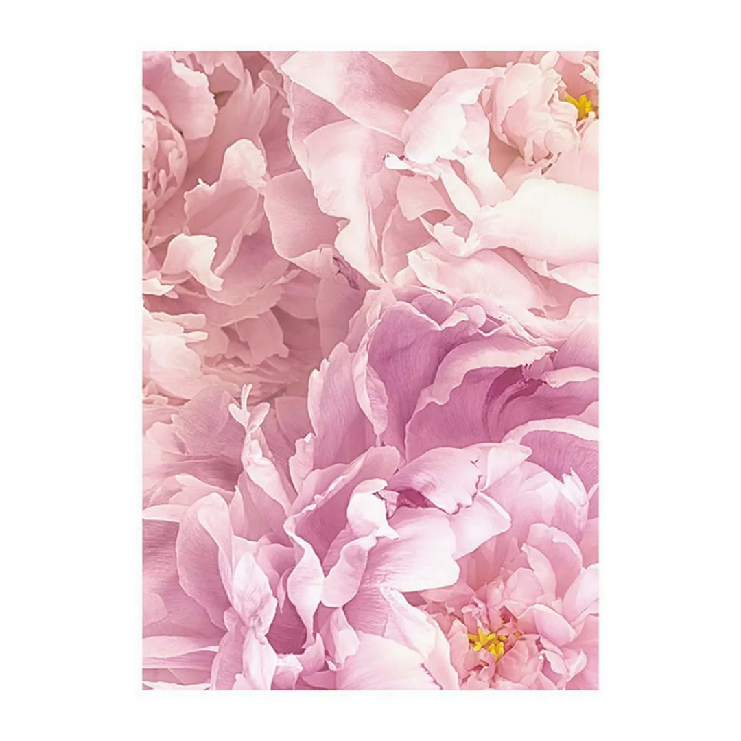 Komar Wandbild Soave Blume B/L: ca. 30x40 cm günstig online kaufen