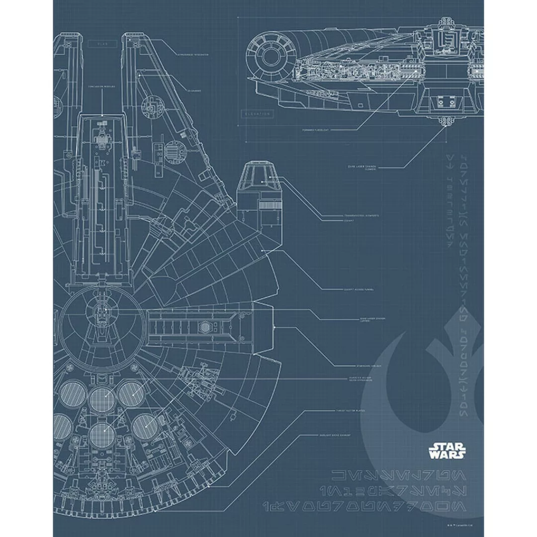Komar Wandbild Star Wars Blueprint Falcon Star Wars B/L: ca. 40x50 cm günstig online kaufen