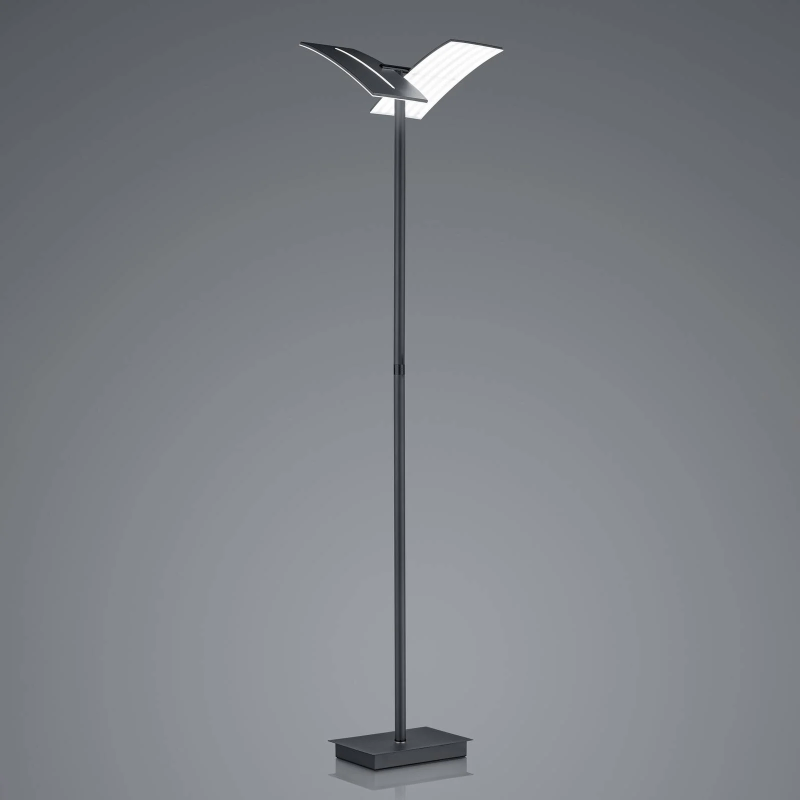LED-Stehleuchte Dual CCT, dimmbar, schwarz günstig online kaufen