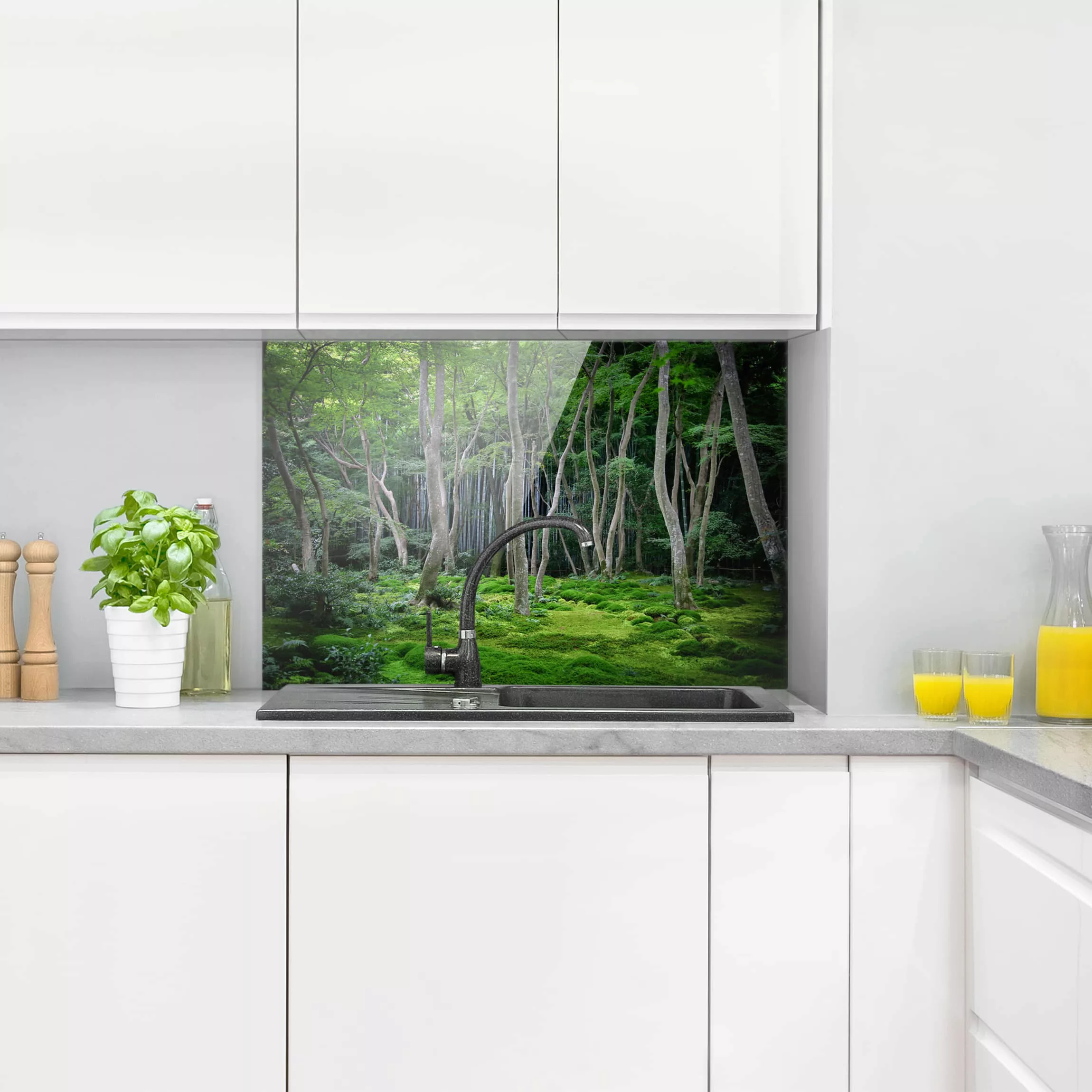 Glas Spritzschutz Natur & Landschaft - Querformat 3:2 Japanischer Wald günstig online kaufen