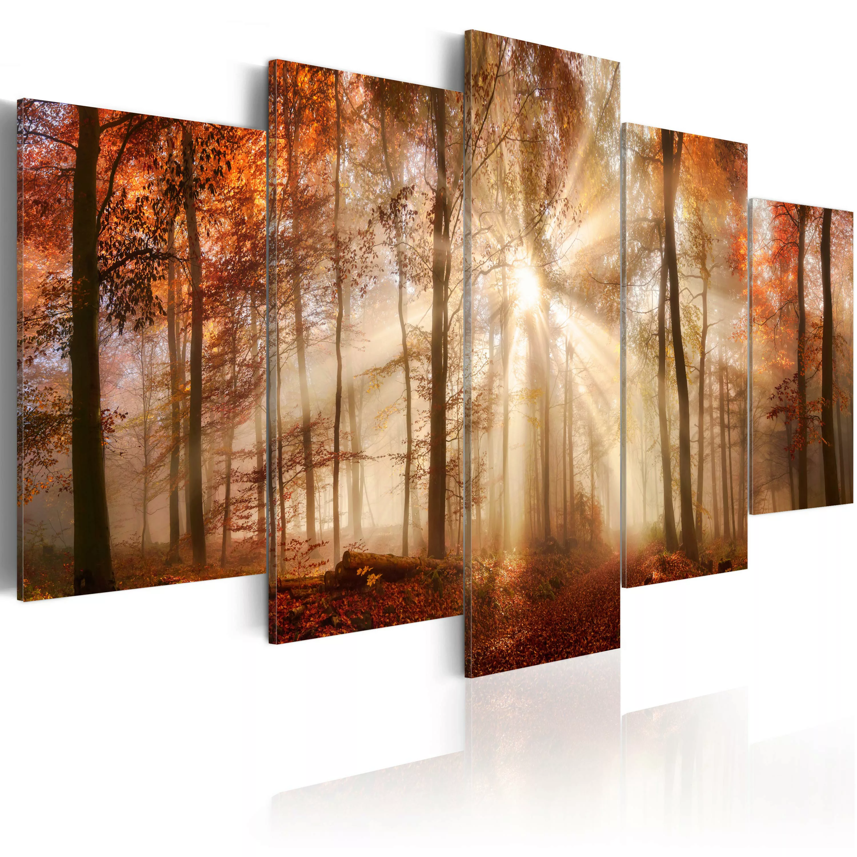 Wandbild - Forest Fog günstig online kaufen