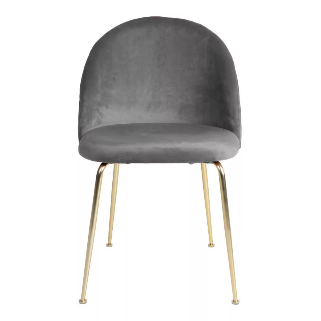 Esstisch Stühle in Grau Samt Metallgestell in Messingfarben (2er Set) günstig online kaufen