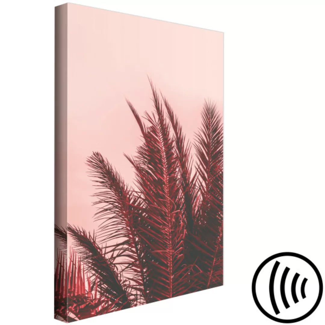 Leinwandbild Rote Palme - Palmenblätter im Licht der untergehenden Sonne XX günstig online kaufen